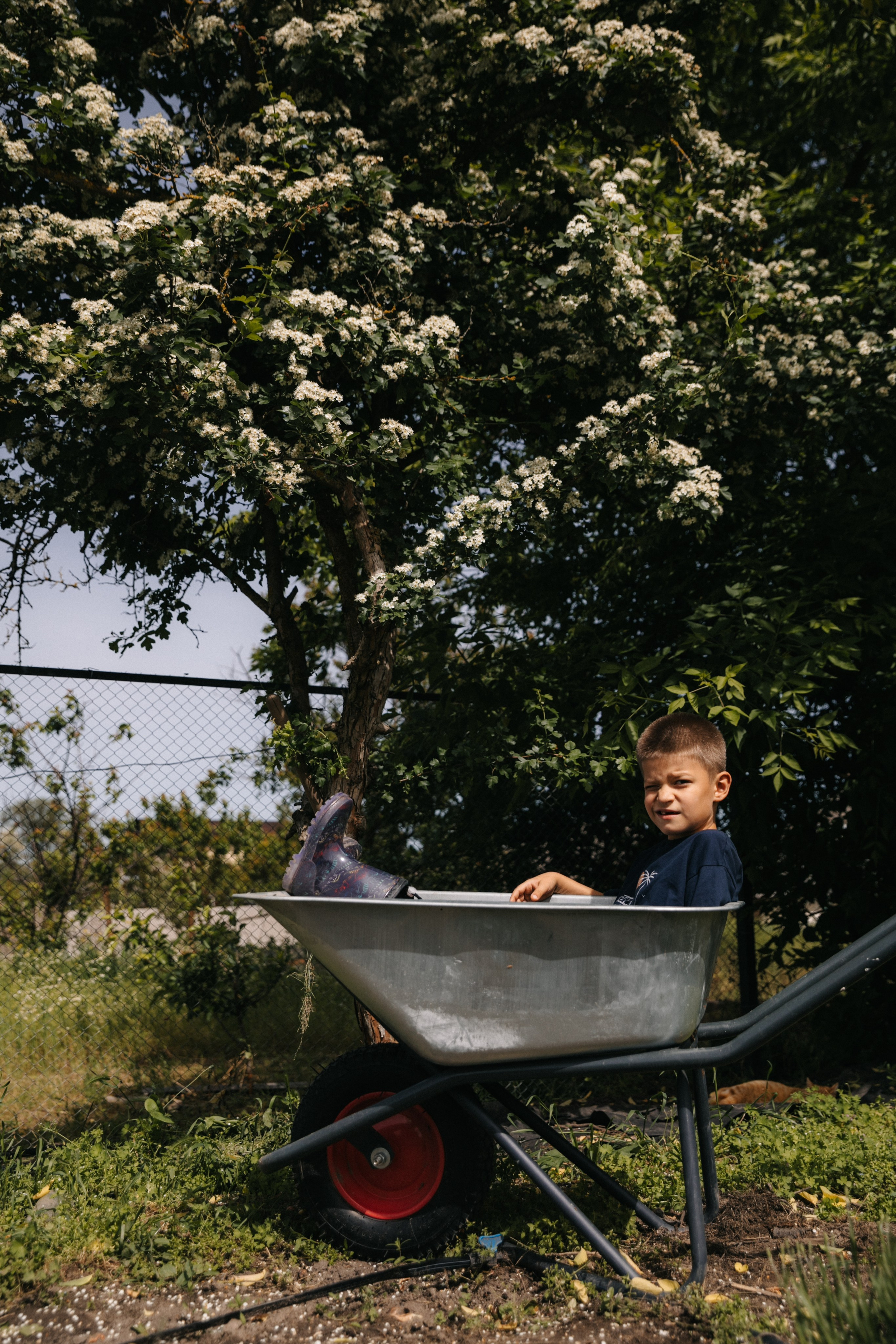 Ферма. Свадебный и семейный фотограф Василина Батищева в Моздоке, Северной Осетии и КМВ
