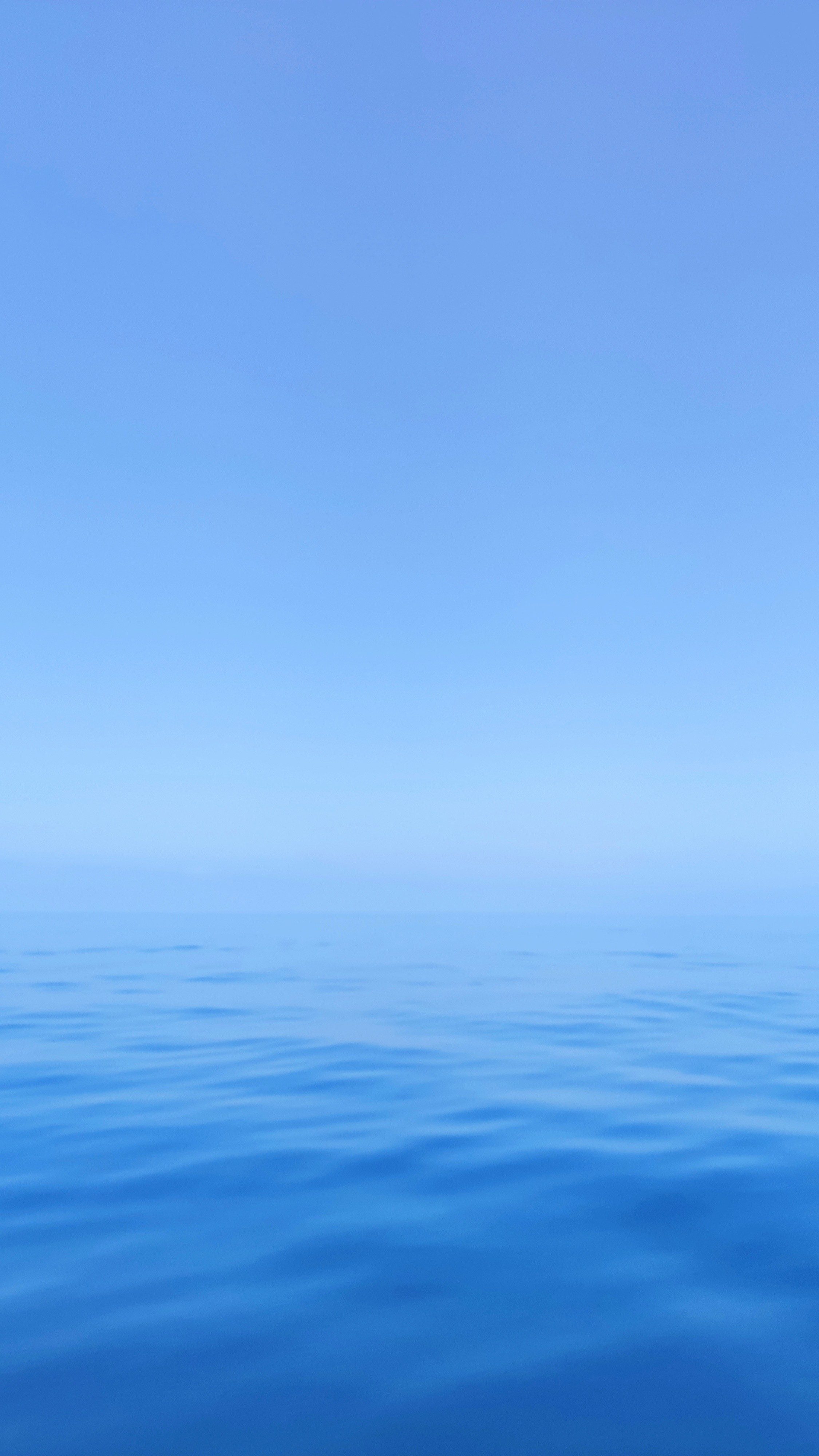 Автор: Екатерина Дмитриева