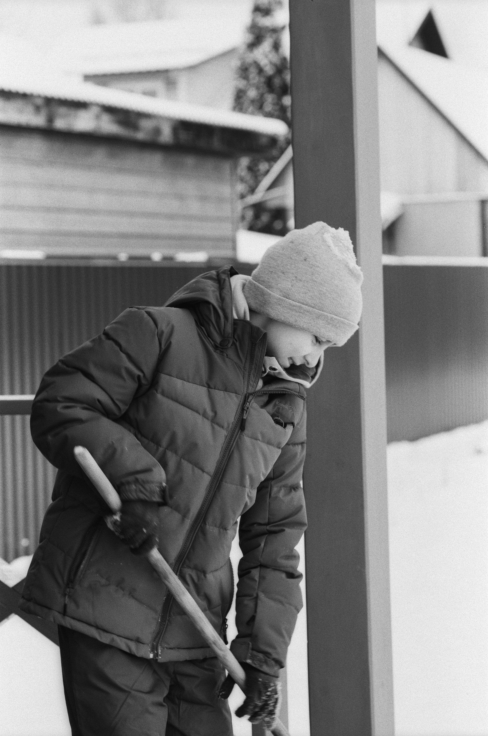 Contax N1 / Carl Zeiss Makro Sonnar 100 mm f/2.8 / Давыдовское