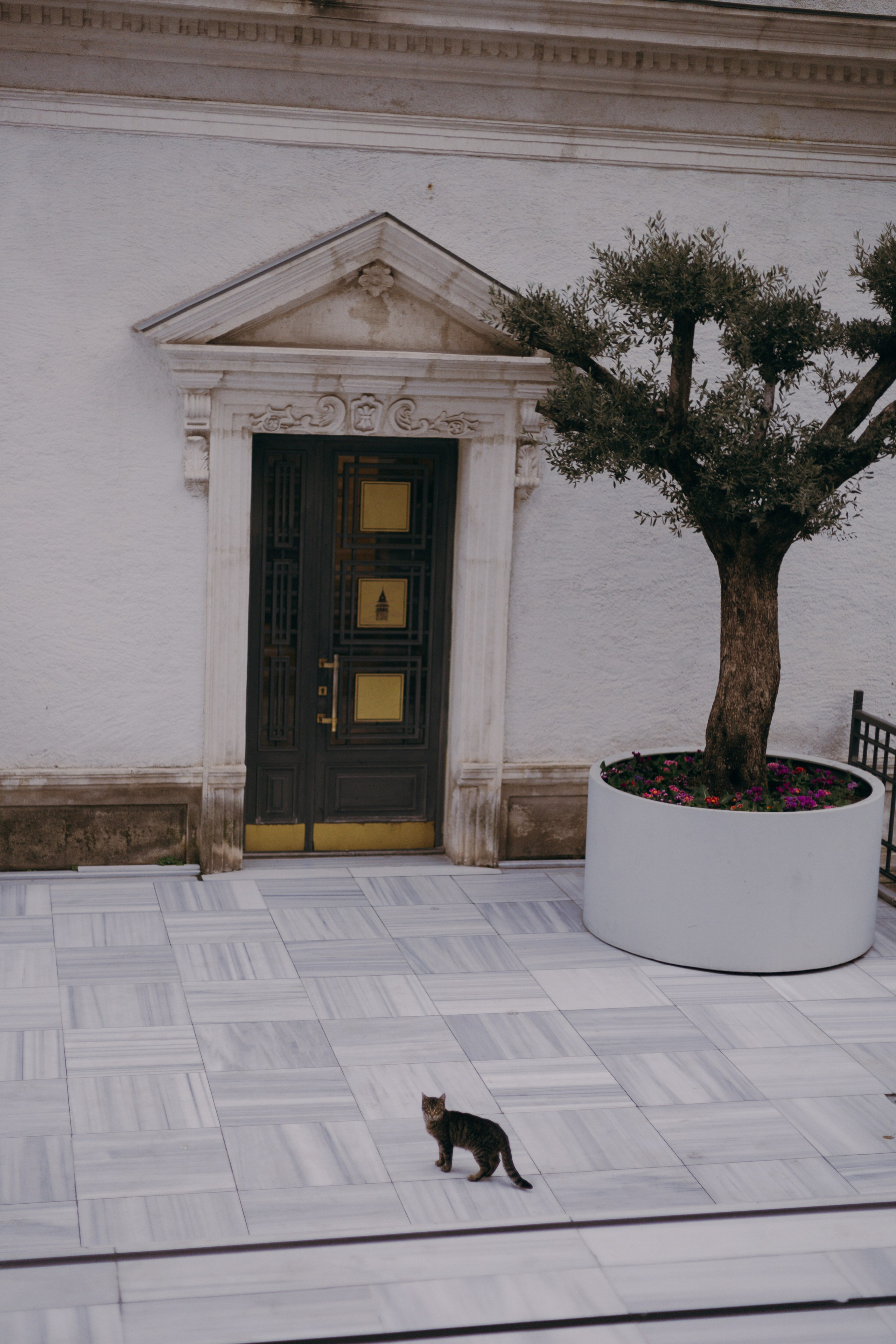 Стамбул. Профессиональный Фотограф во Владимире, в Москве и в Суздале — Полина Романычева