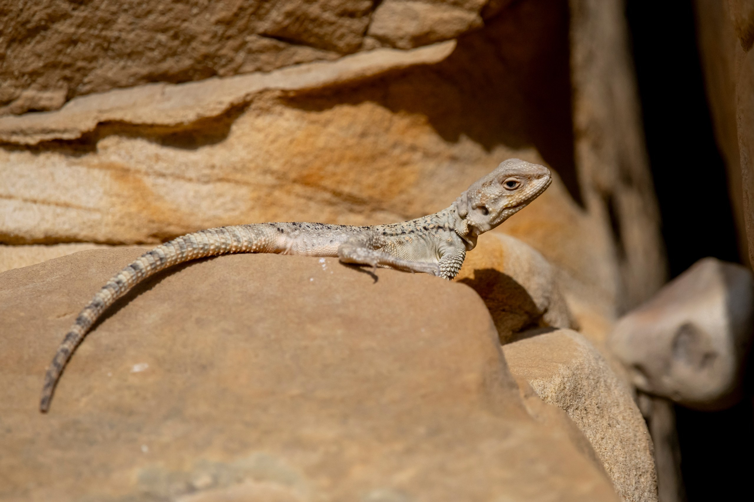 Природа Дагестана, сентябрь 2024. Foto-Zuev фотография как искусство