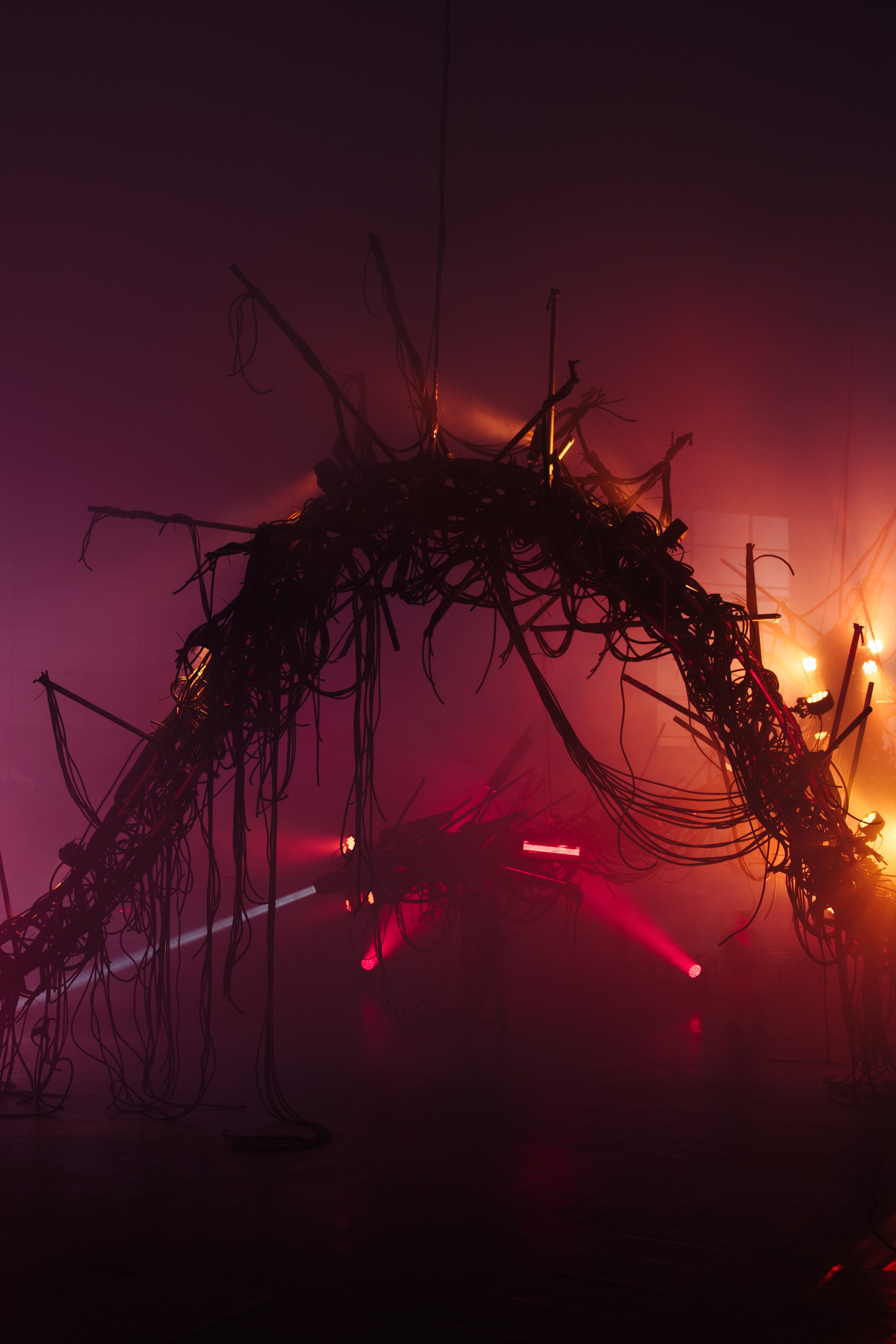 PANTERRA, CHRONOMORPH 001. @tomrus: Рустам Шагиморданов — фотограф