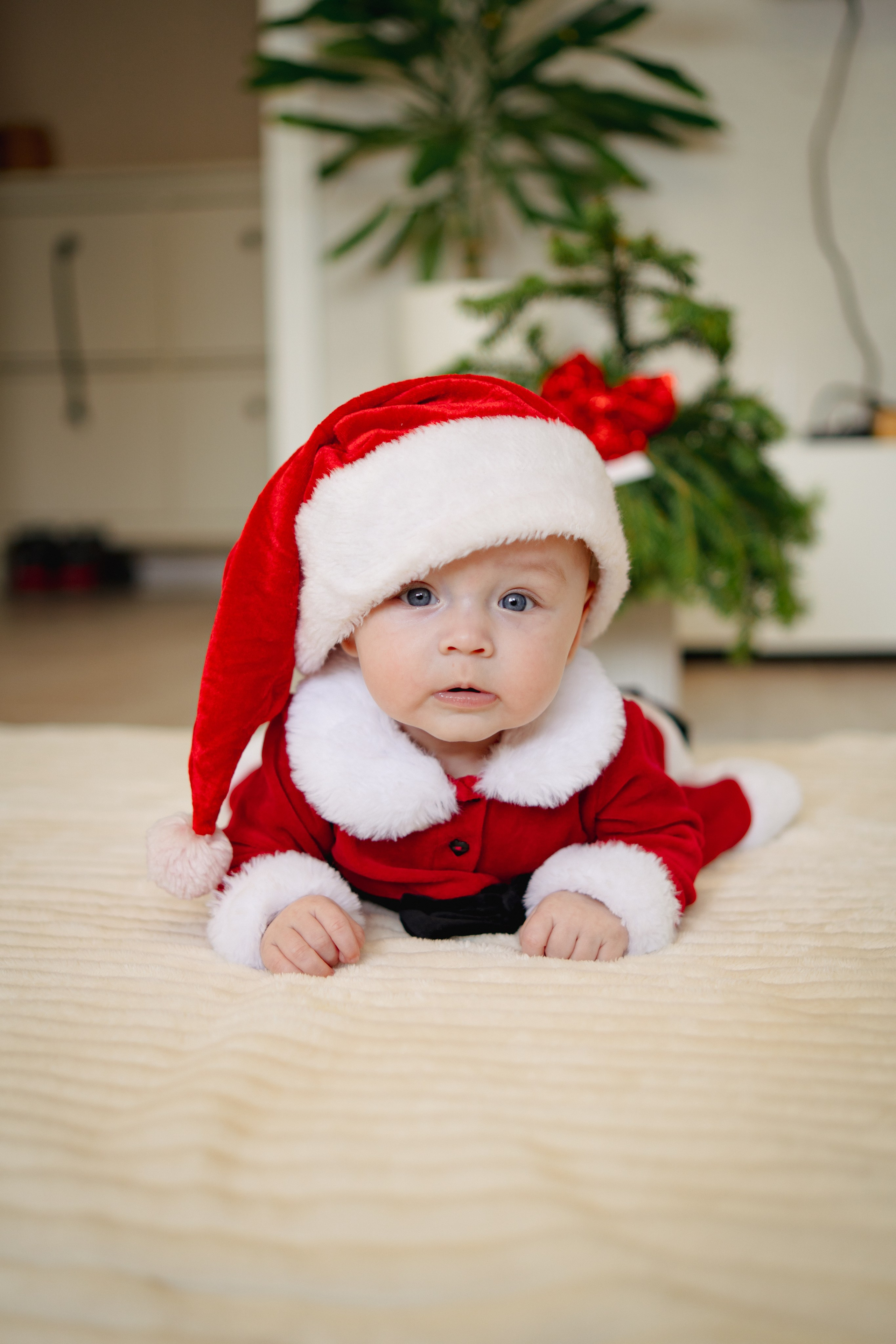 Новогодние. Елена Луковская. Семейная, портретная, репоражная съёмка