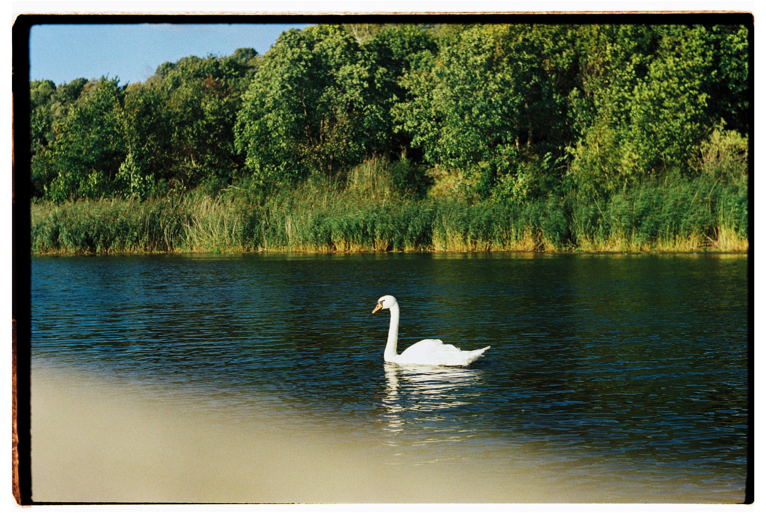 Калининградская область и Санкт-Петербруг | 2024. Портретный фотограф | Олеся Комарова | Екатеринбург