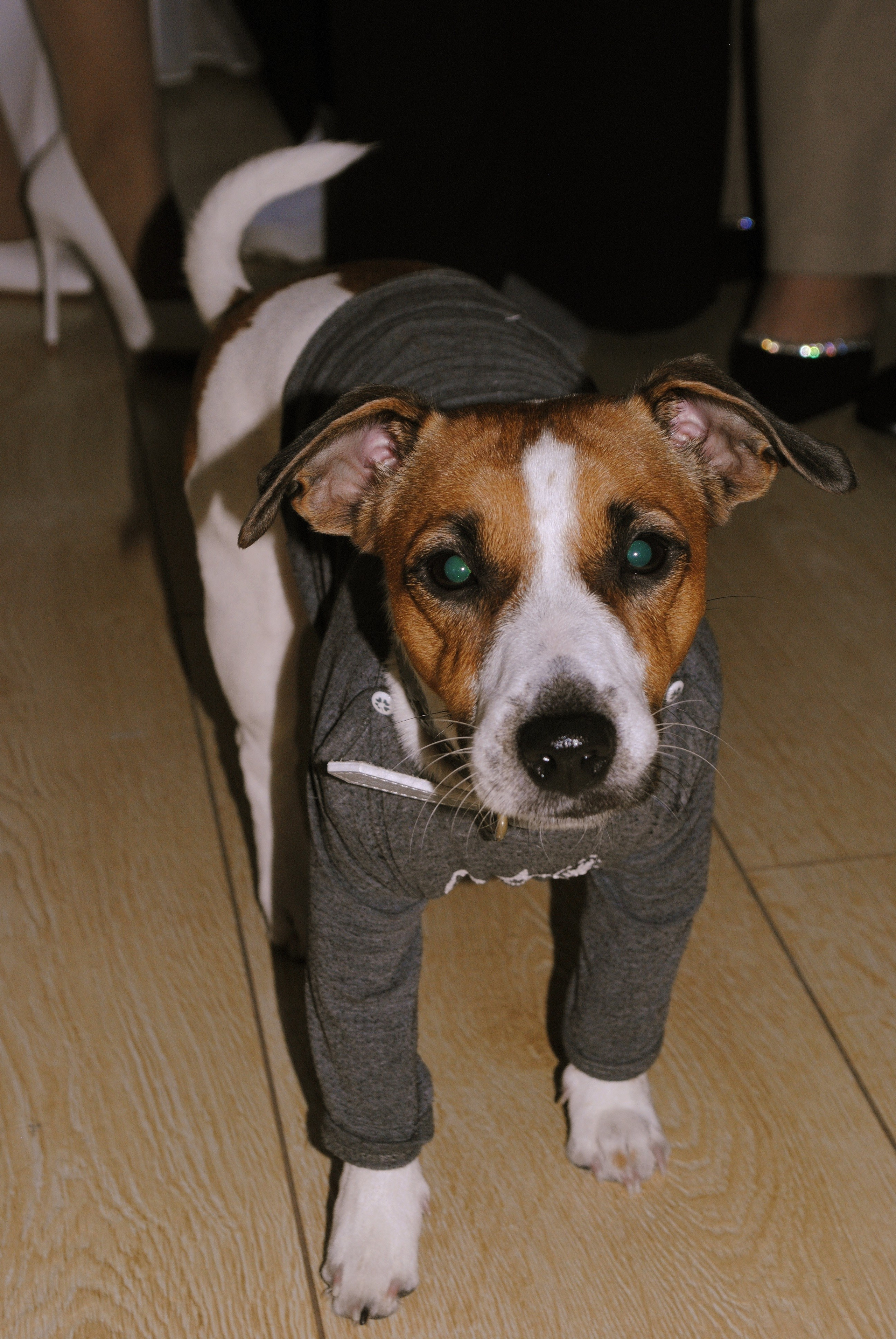 Марьяна и Вова. Фотограф Мария Мусаелян