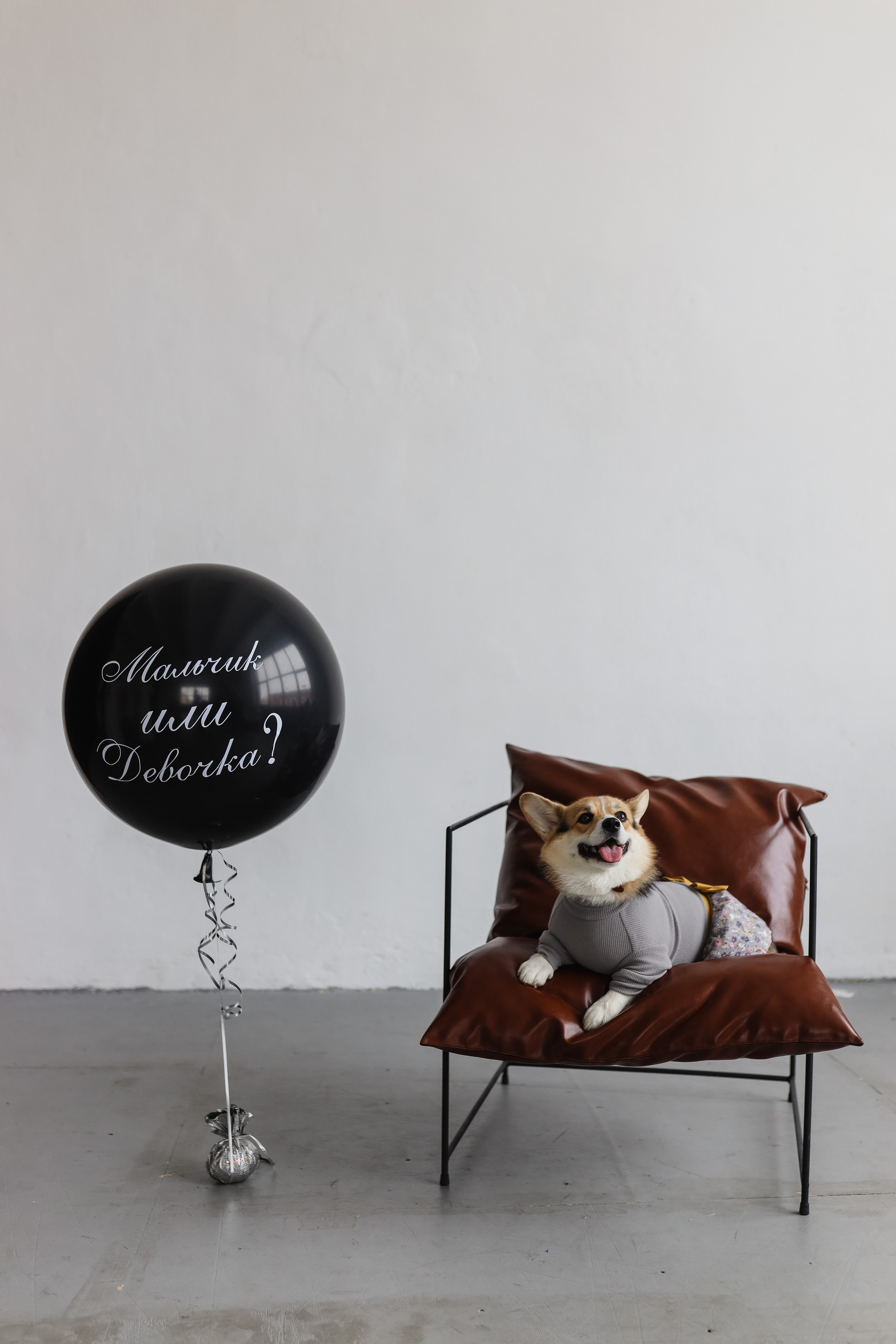 Гендер пати Анастасии и Вадима