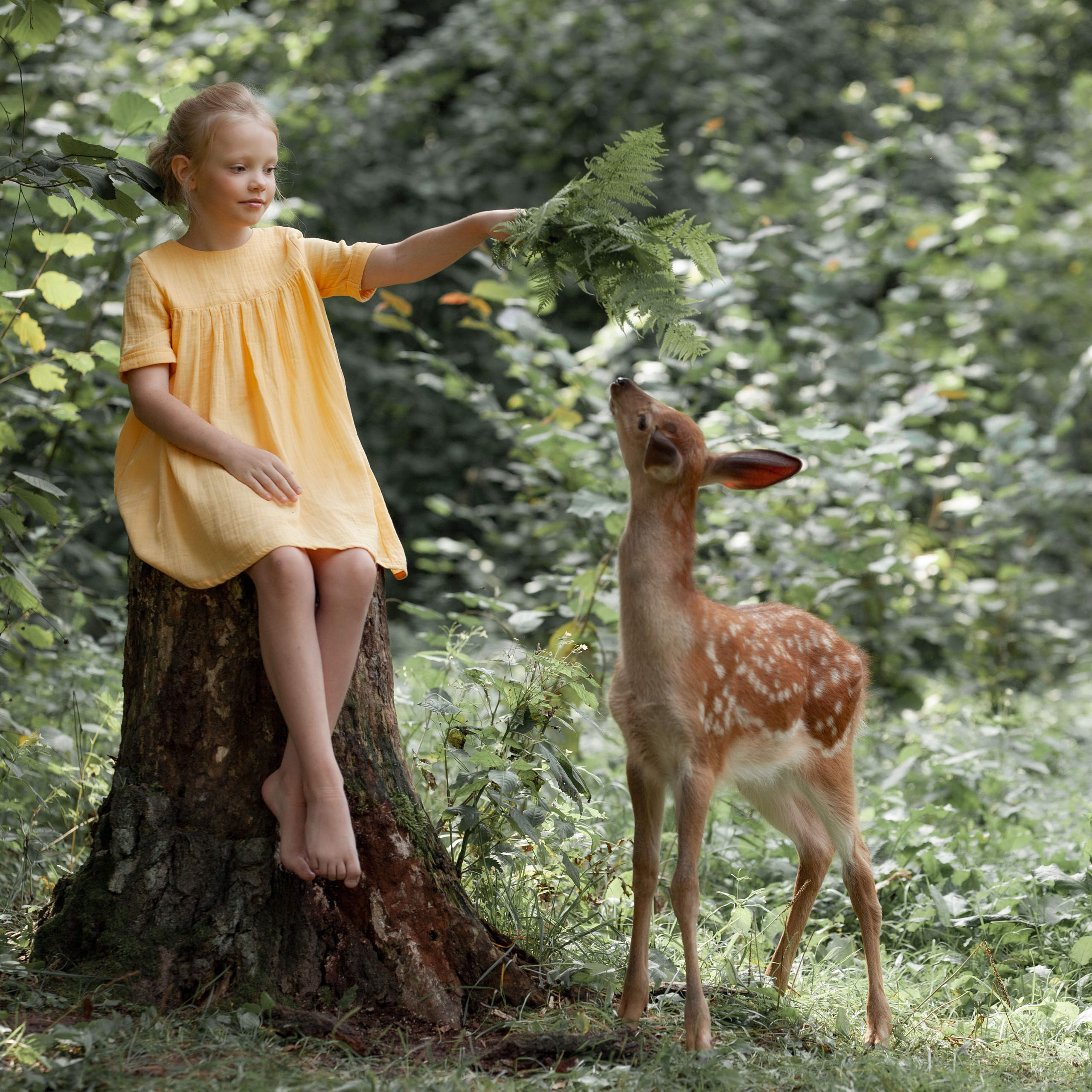 Бэмби. Фотограф в Екатеринбурге Ирина Киприянова