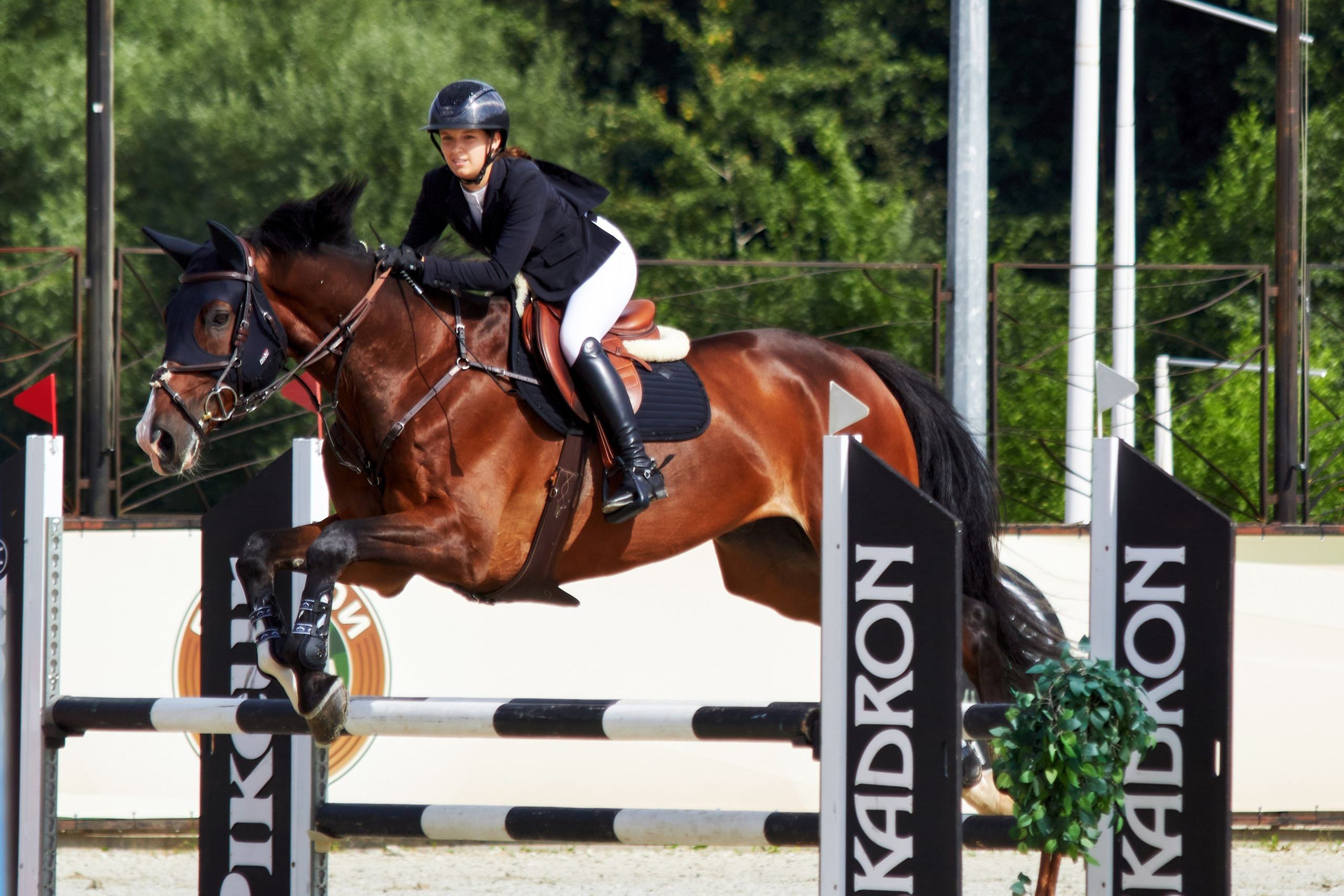 Конкур в «Виват, Россия». Фотограф анималист — Тула, Москва