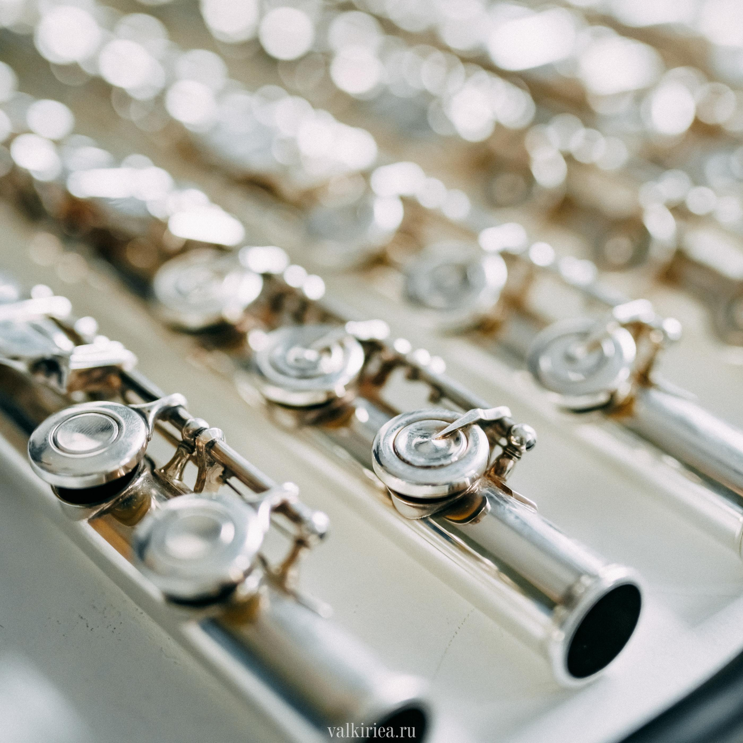 Музыка нас связала…. Фотосъемка, свадебная фотосъемка, Москва, Нижний Новгород