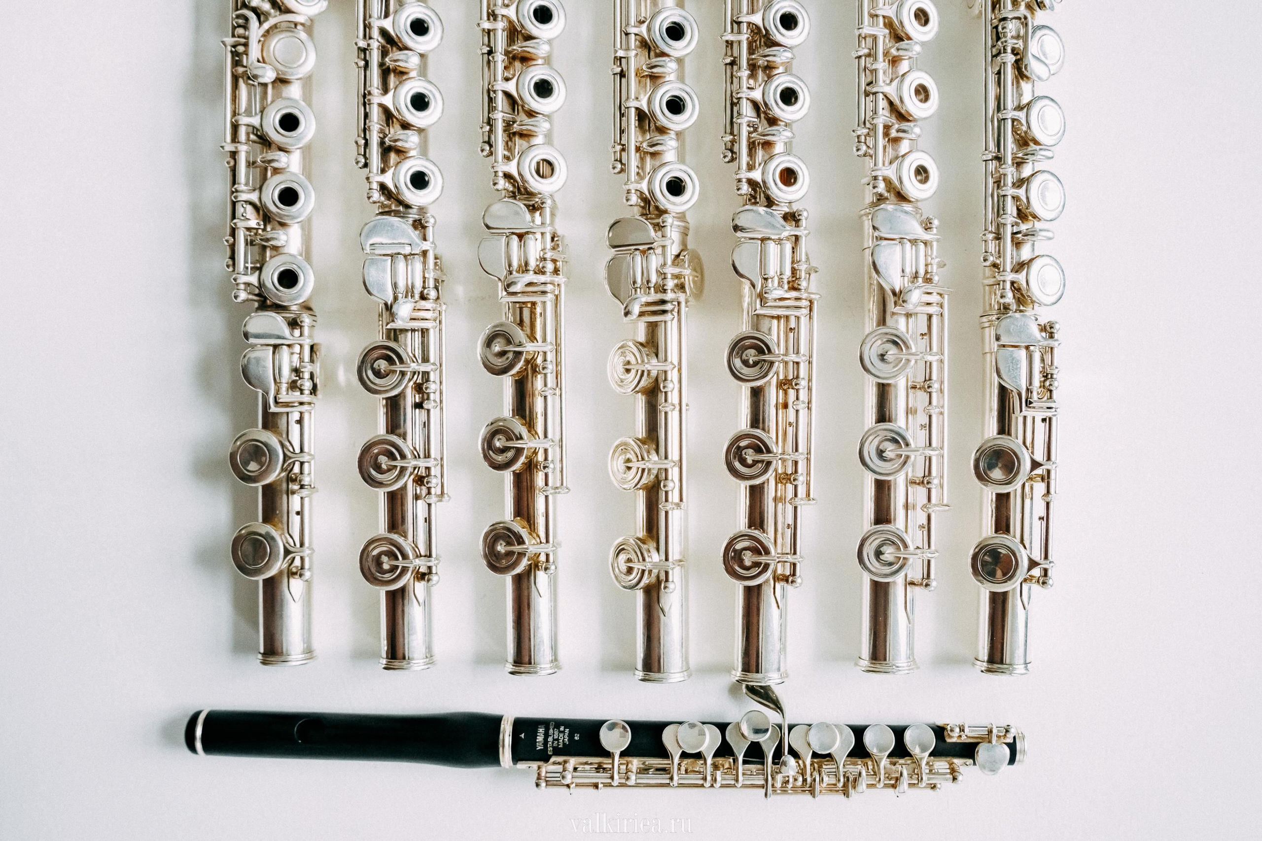 Музыка нас связала…. Фотосъемка, свадебная фотосъемка, Москва, Нижний Новгород