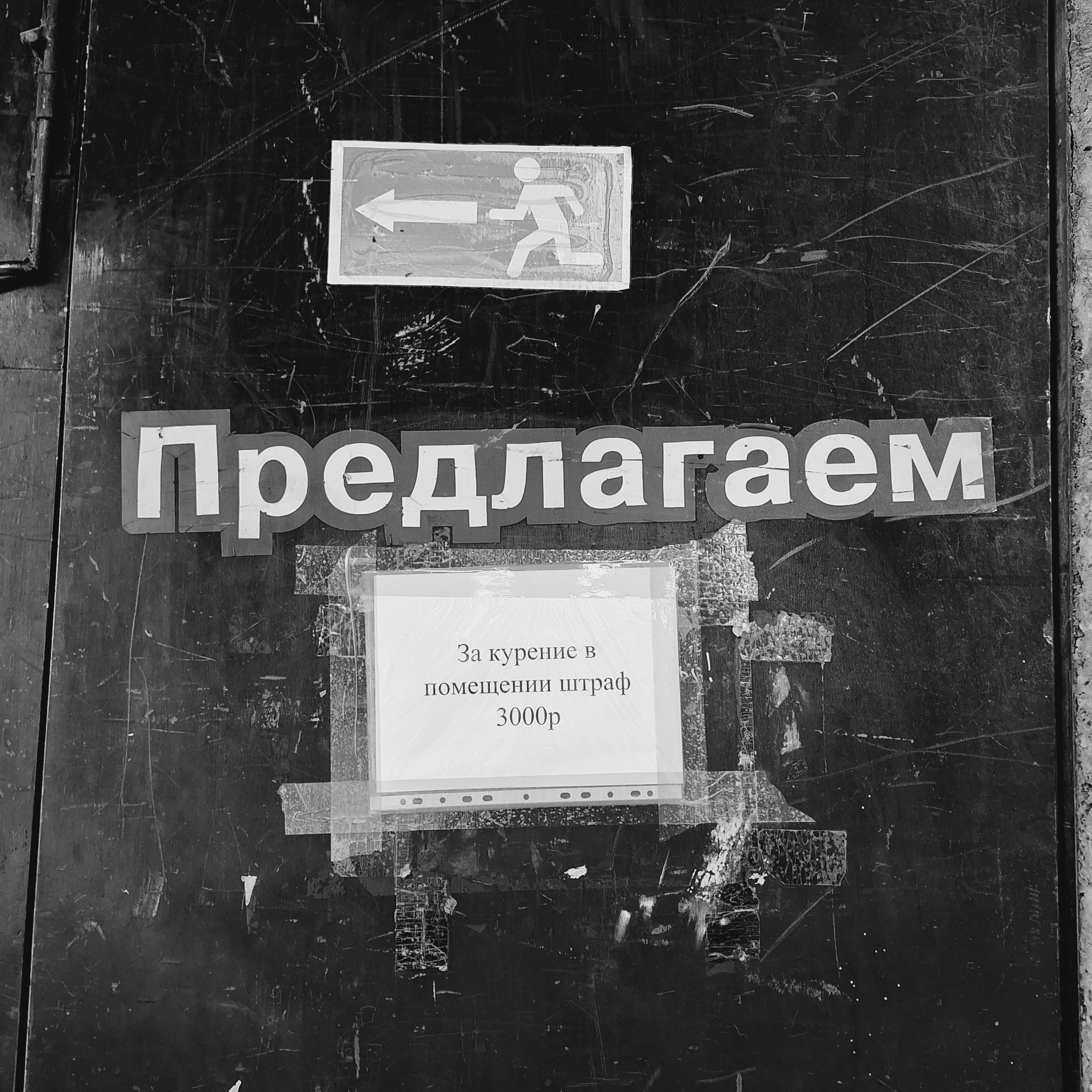 ㅤㅤ. Анна Мильч