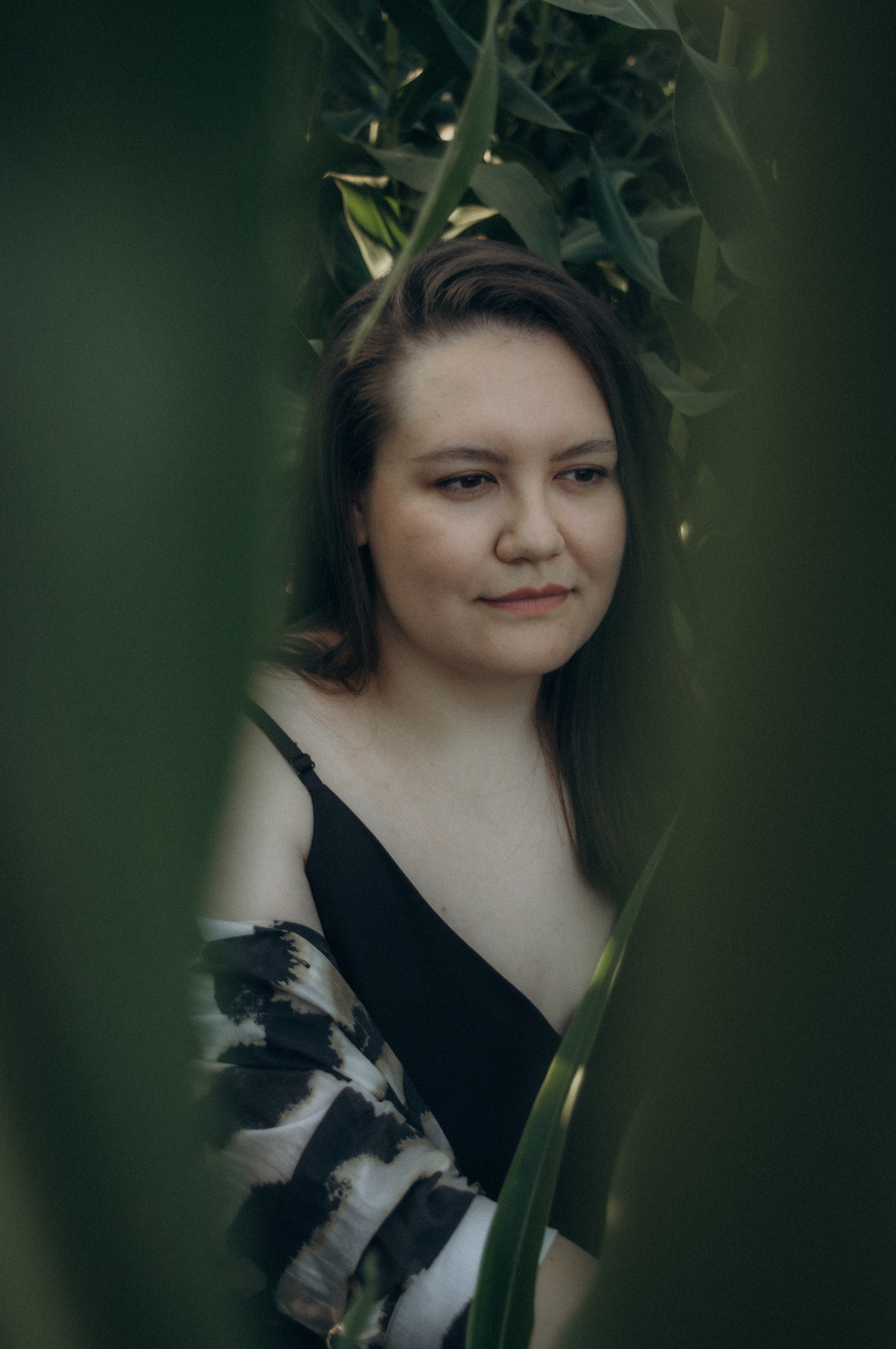 Аня. Фотосессия на кукурузном поле. Юлия Левада Семейный и женский фотограф