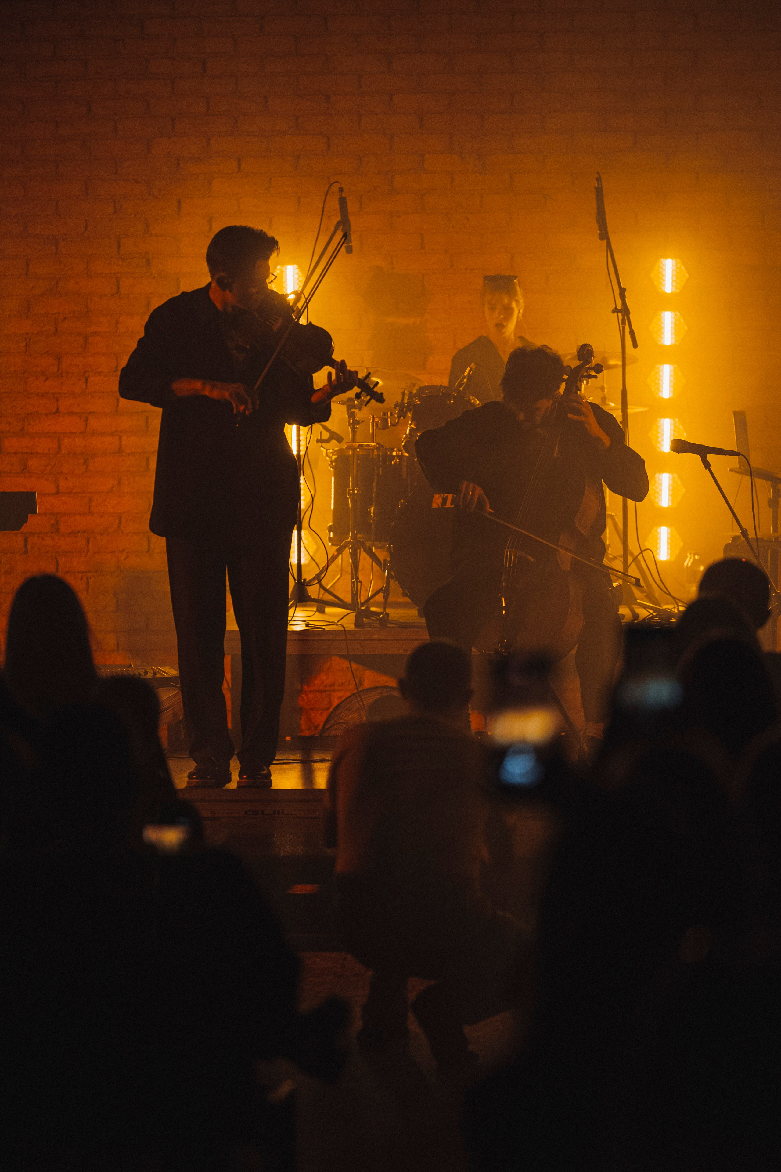 Play Vinyl Band. Главная