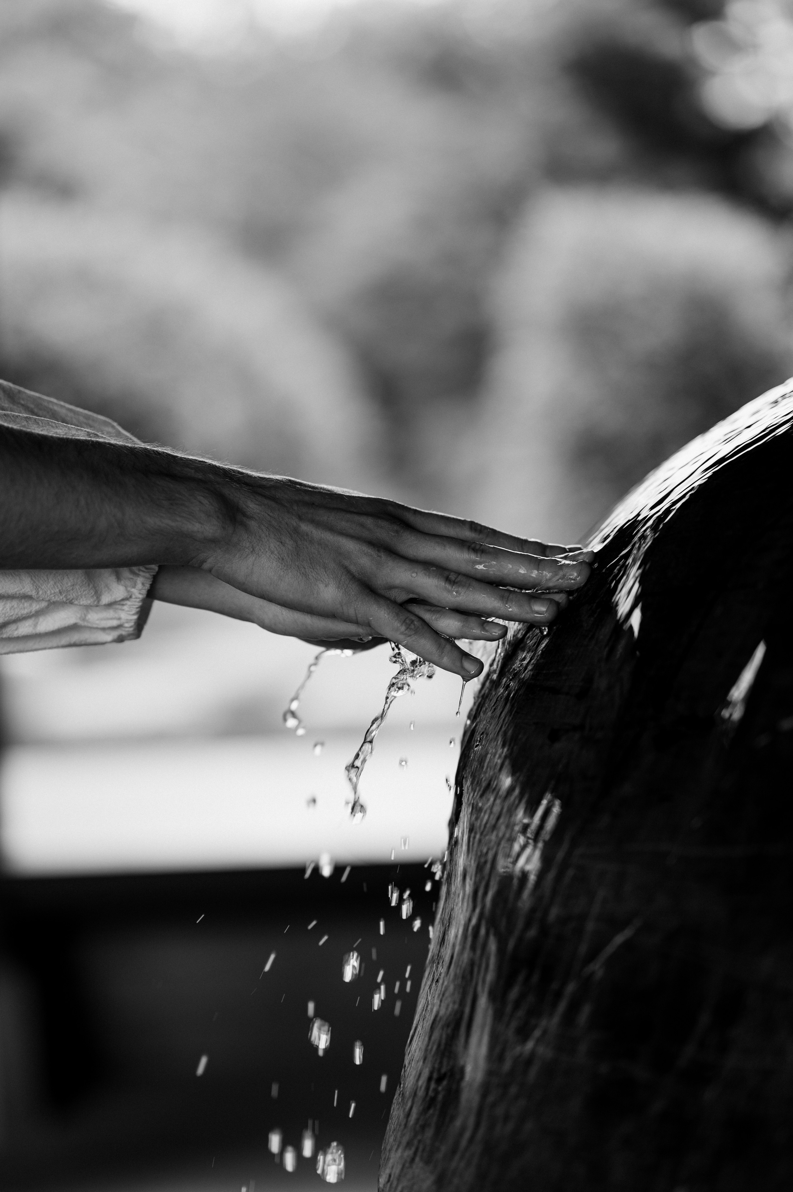 Фотосессия Японский сад - фотограф Марина Степа. Свадебный и семейный фотограф в Краснодаре Марина Стёпа