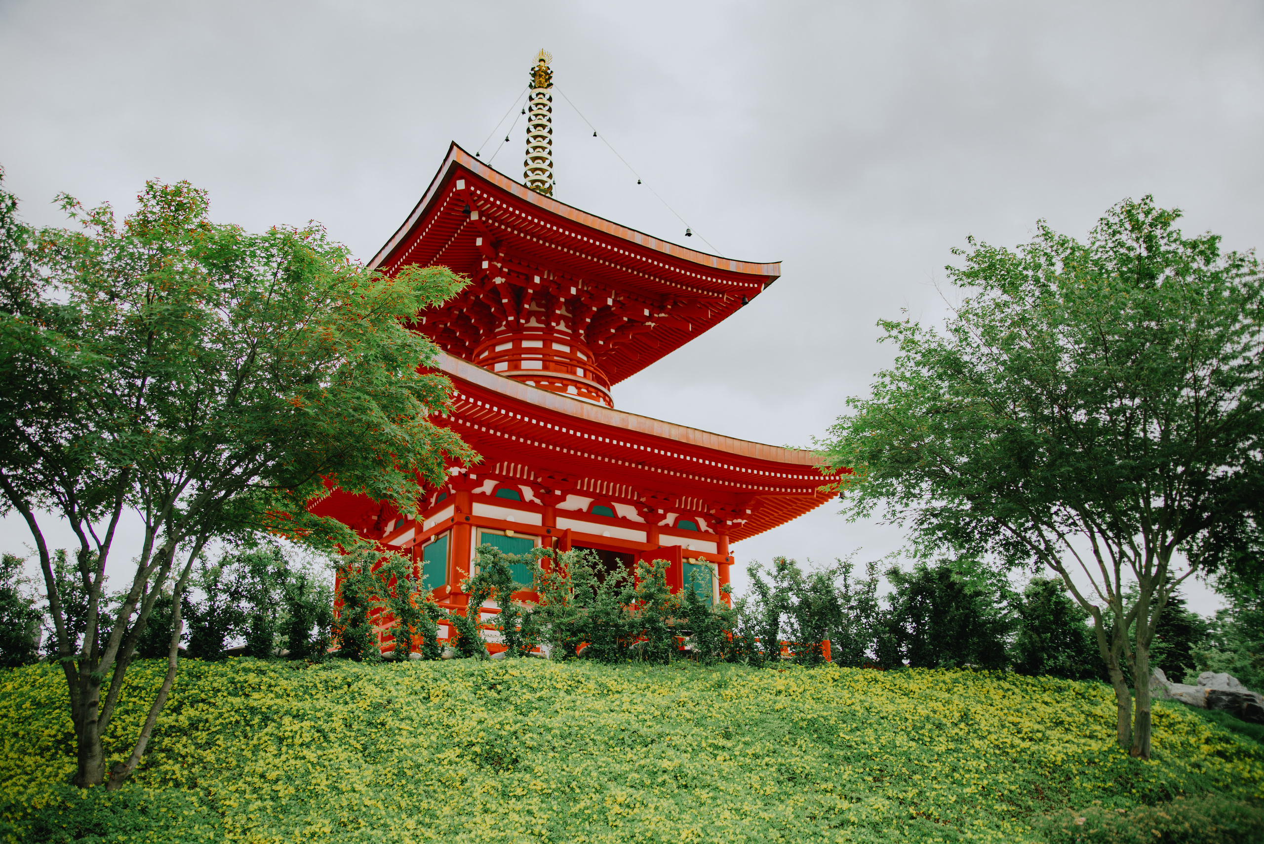 Фотосессия Японский сад - фотограф Марина Степа. Свадебный и семейный фотограф в Краснодаре Марина Стёпа