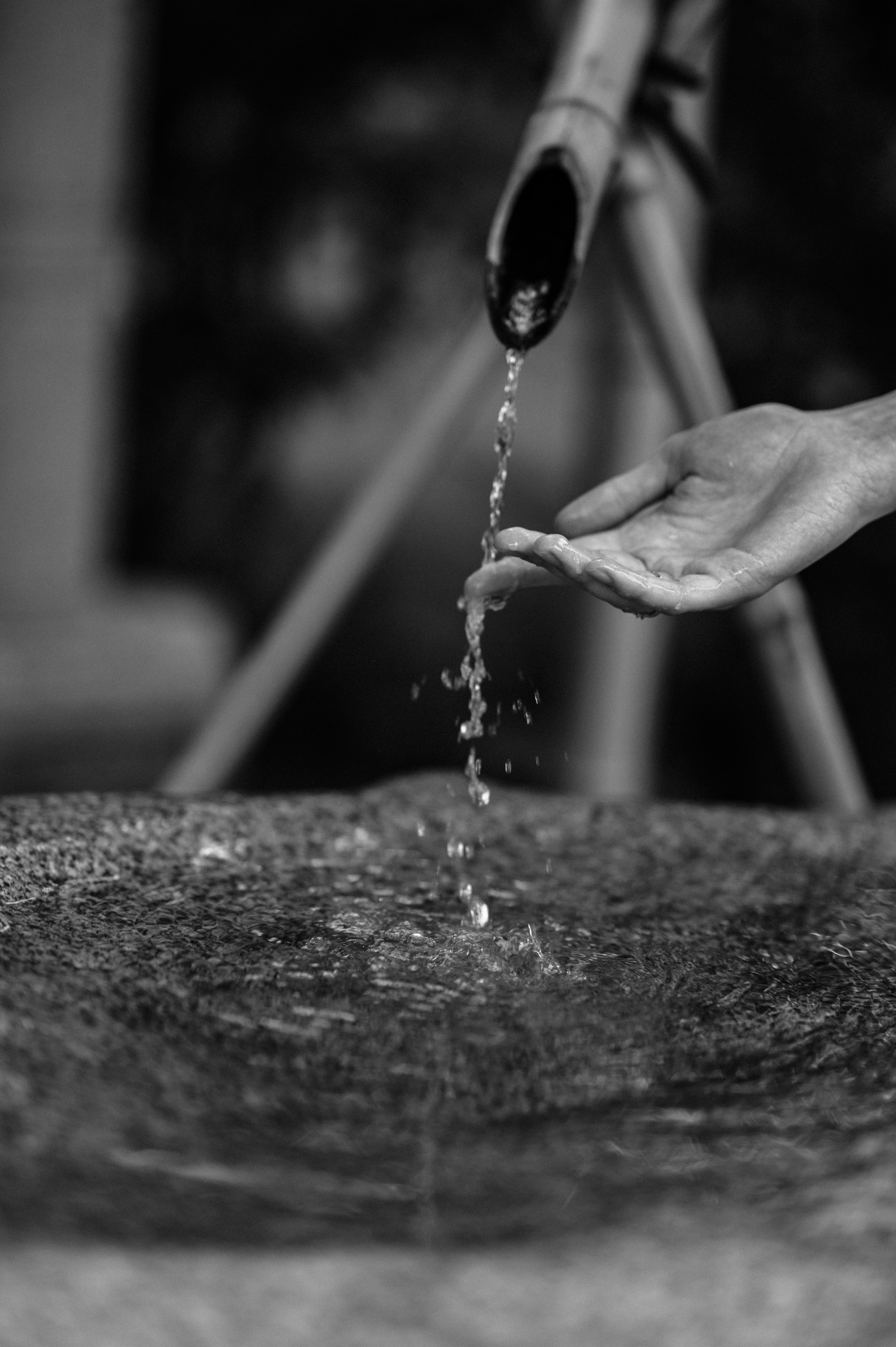 Фотосессия Японский сад - фотограф Марина Степа. Свадебный и семейный фотограф в Краснодаре Марина Стёпа