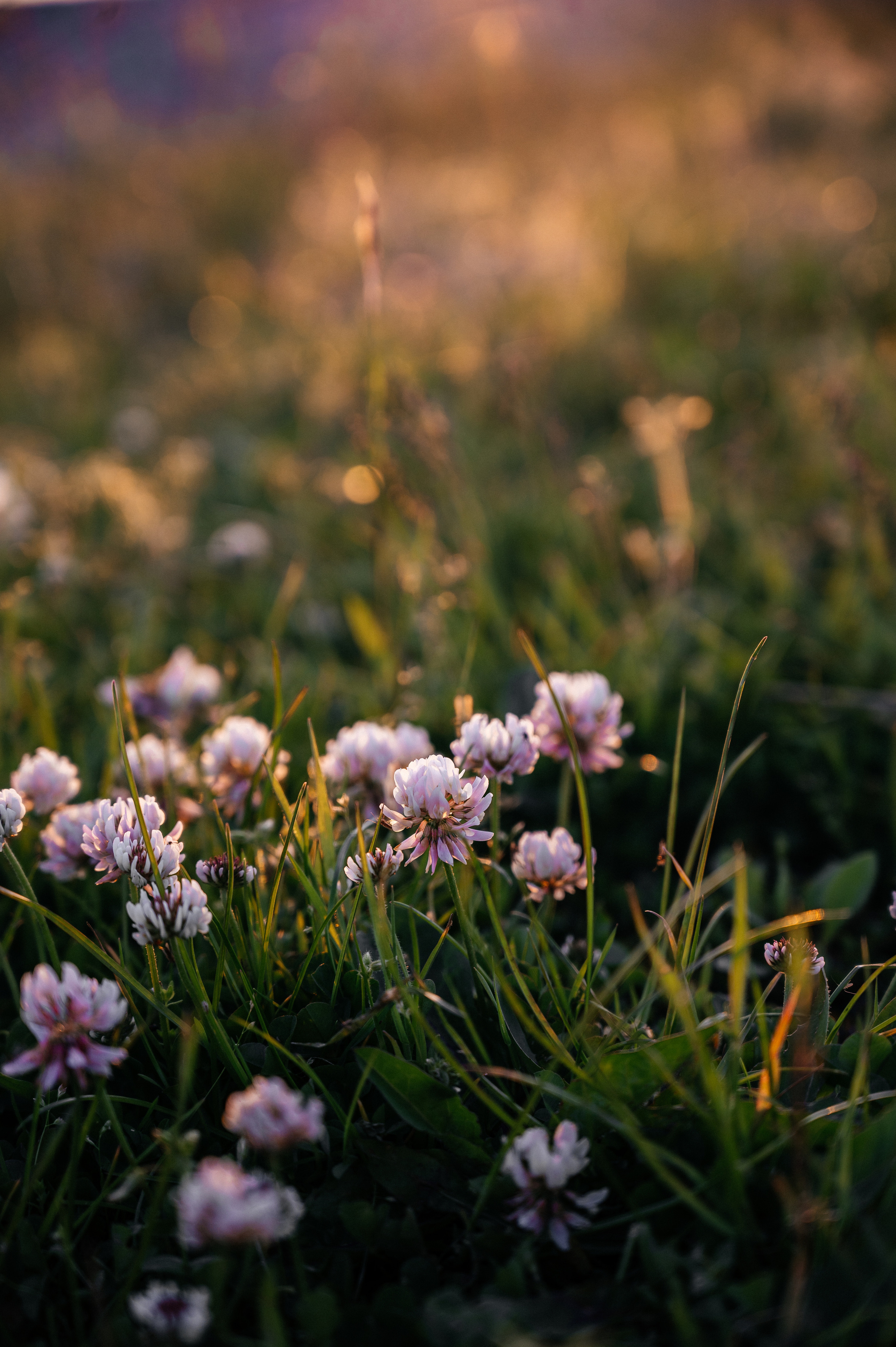 Love story фотосессия Адыгея. Свадебный и семейный фотограф в Краснодаре Марина Стёпа