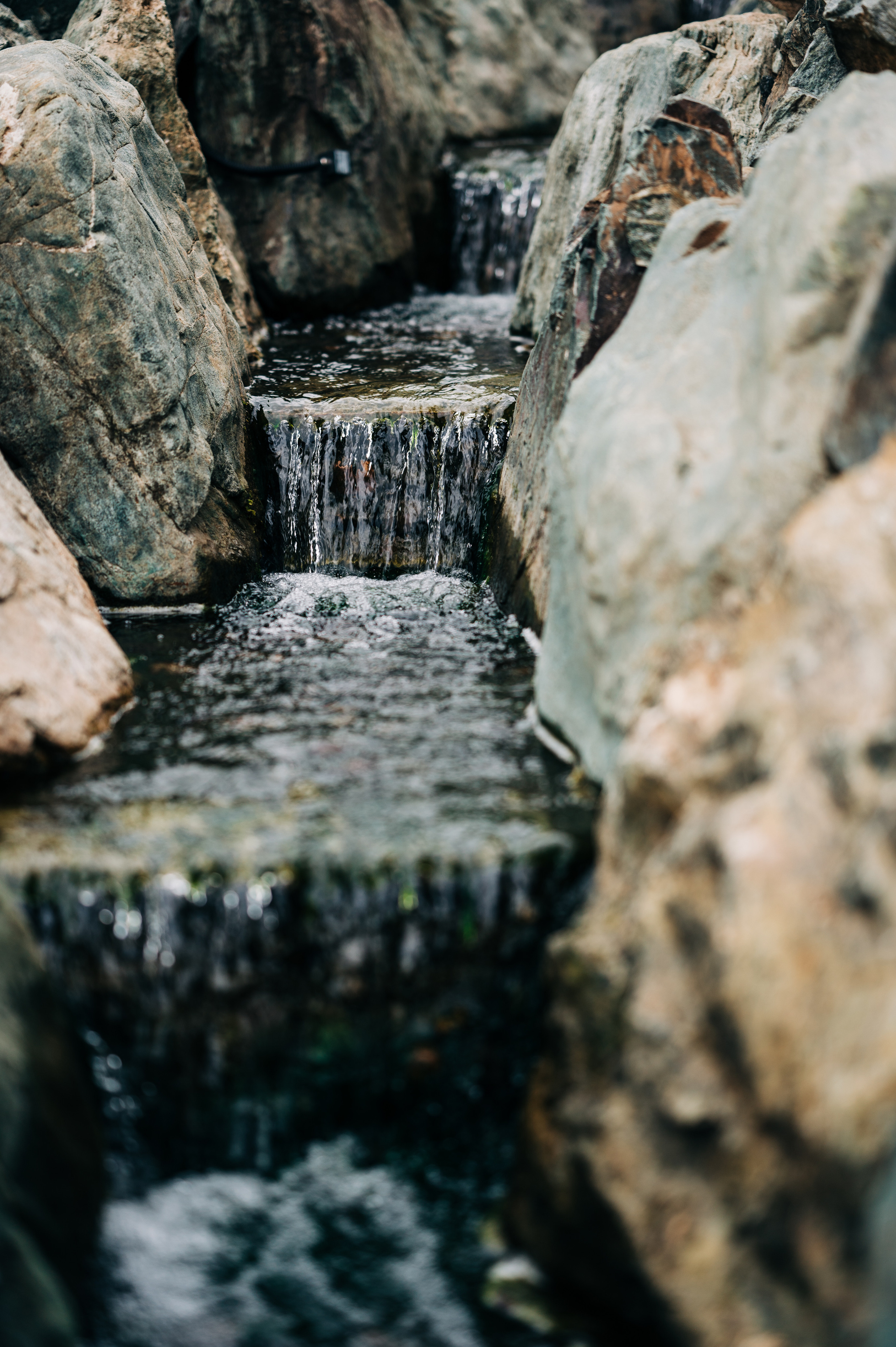 Фотосессия Японский сад - фотограф Марина Степа. Свадебный и семейный фотограф в Краснодаре Марина Стёпа