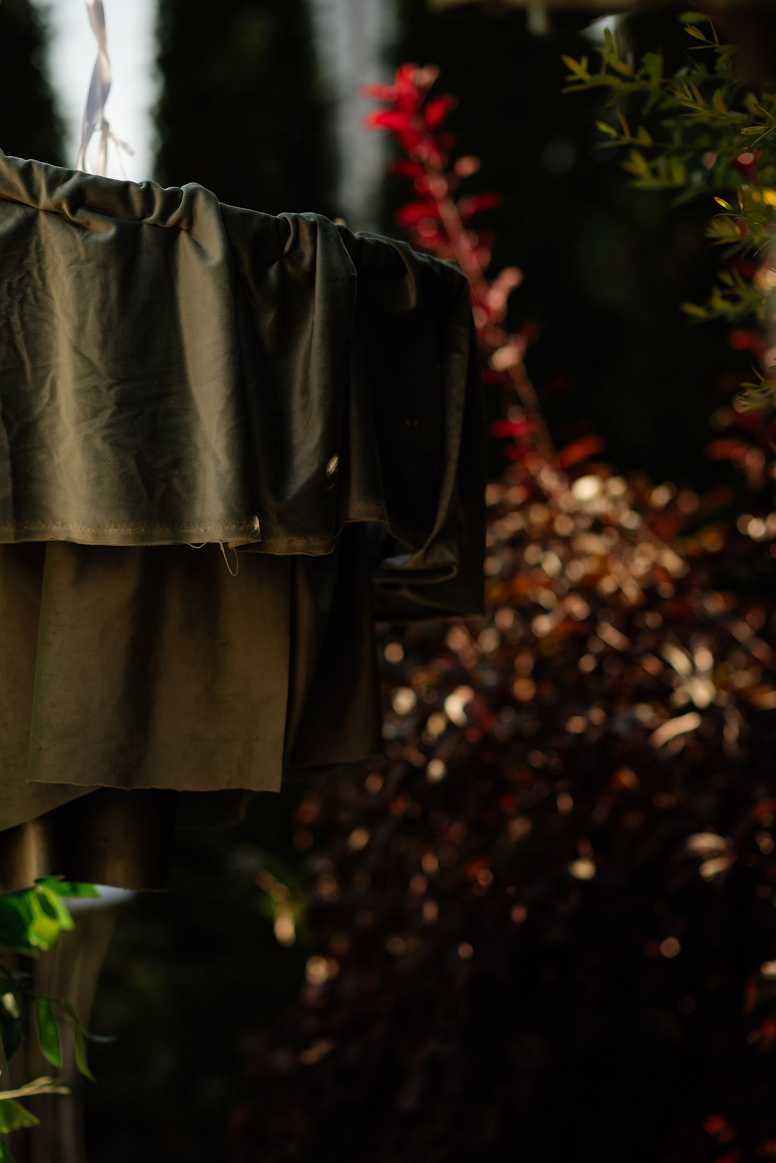 Сергей и Карина. Свадебный и семейный фотограф в Ростове-на-Дону Алина Астахова