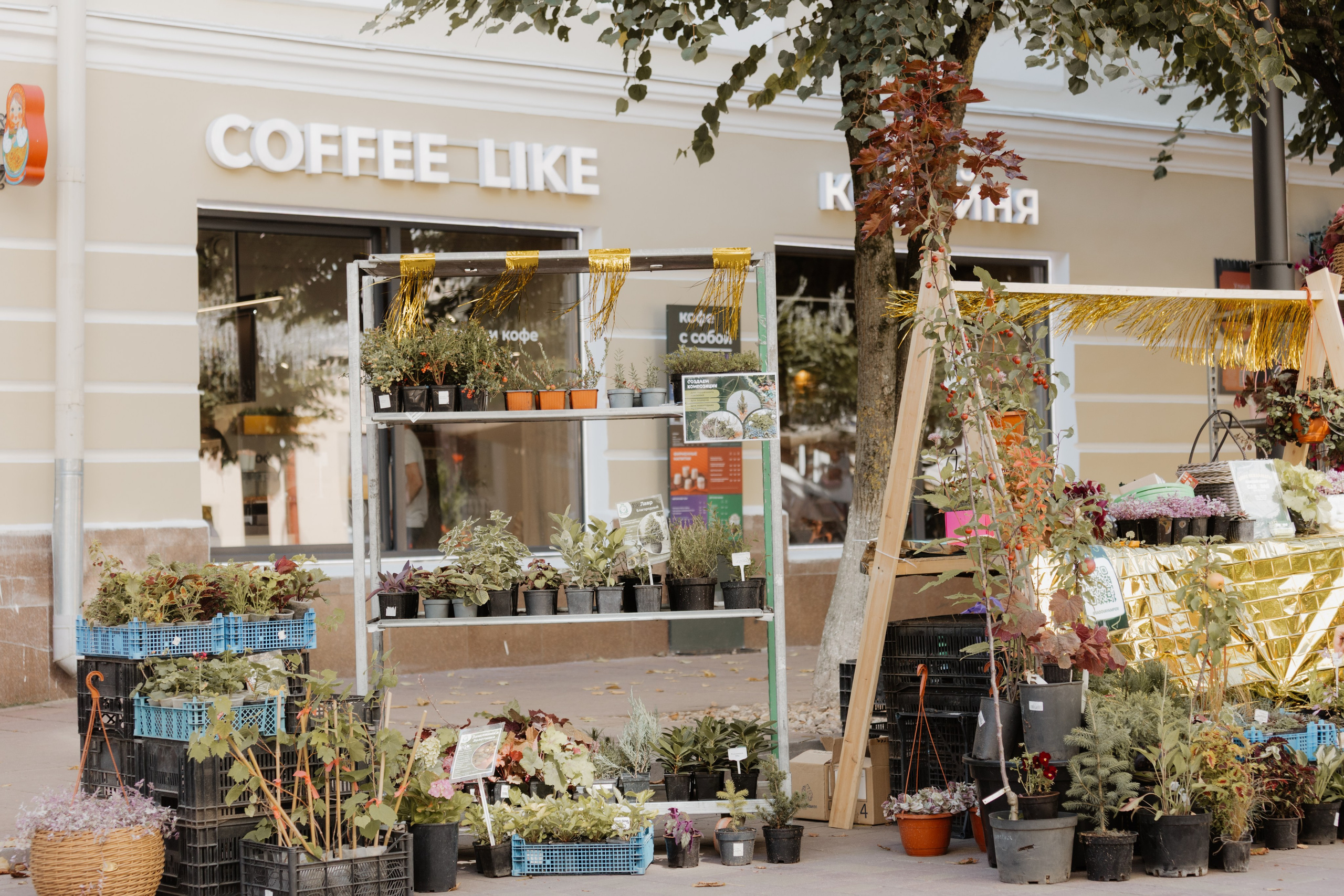 Джаз-фест — Смоленск — 29.08.2026. KiPPER Gallery — Фотограф