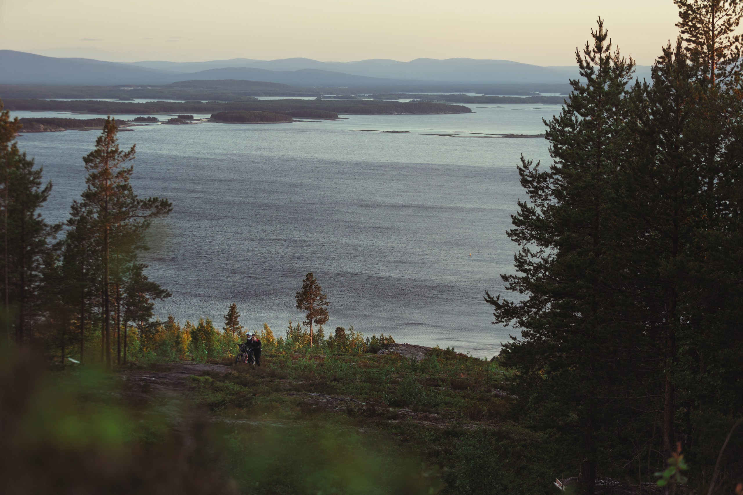 Кандалакшка. Фотограф анималист Никита Натальный