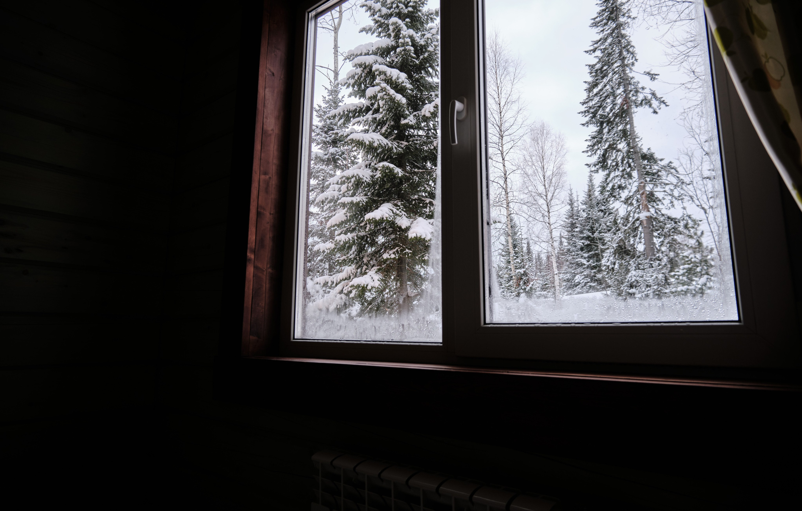 Цветочная ½. Свадебный и семейный фотограф в Новокузнецке Иван Иванов