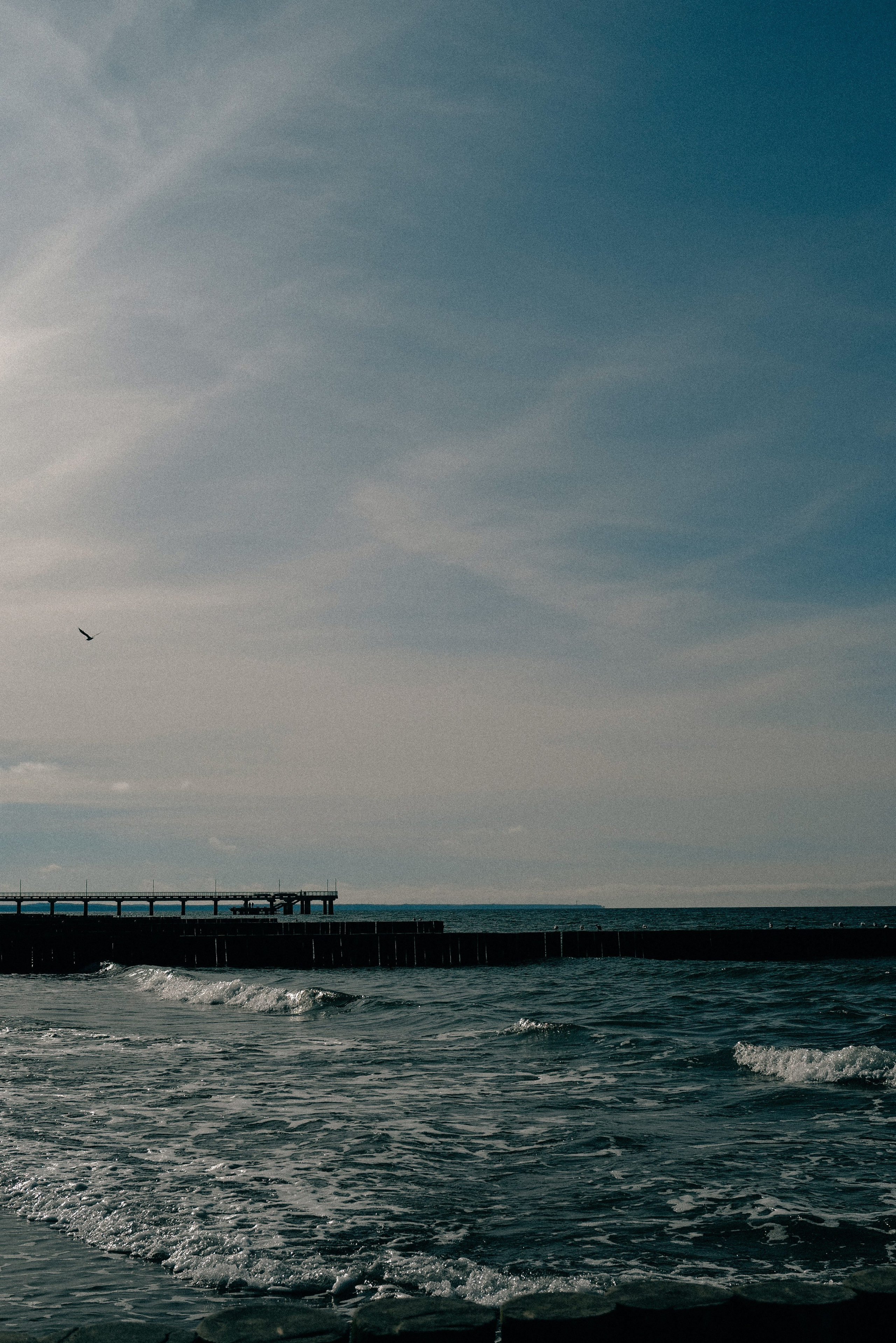 Zelenogradsk. Фотограф София Комкина