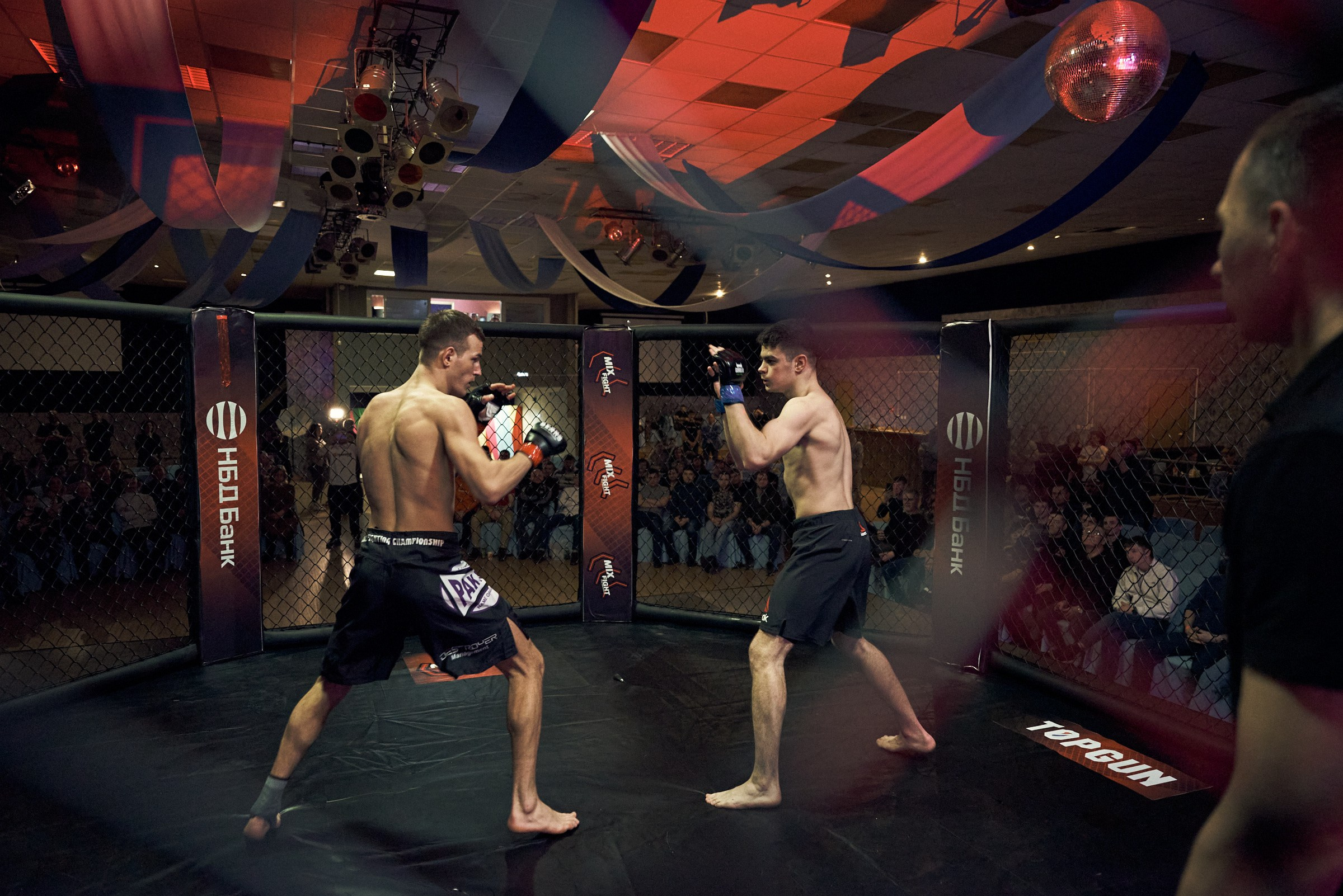 Бои. Маляревич Дмитрий свадебный фотограф