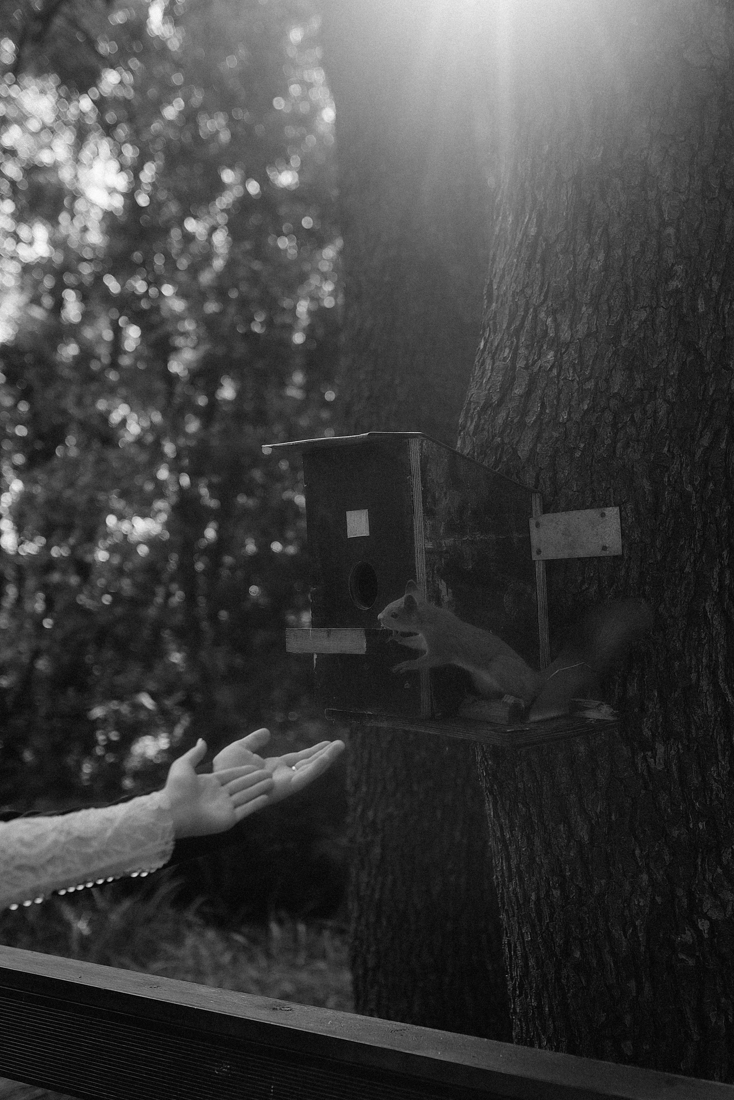 Анастасия и Сергей. Фотограф Карина Шмулёва. Воронеж и область