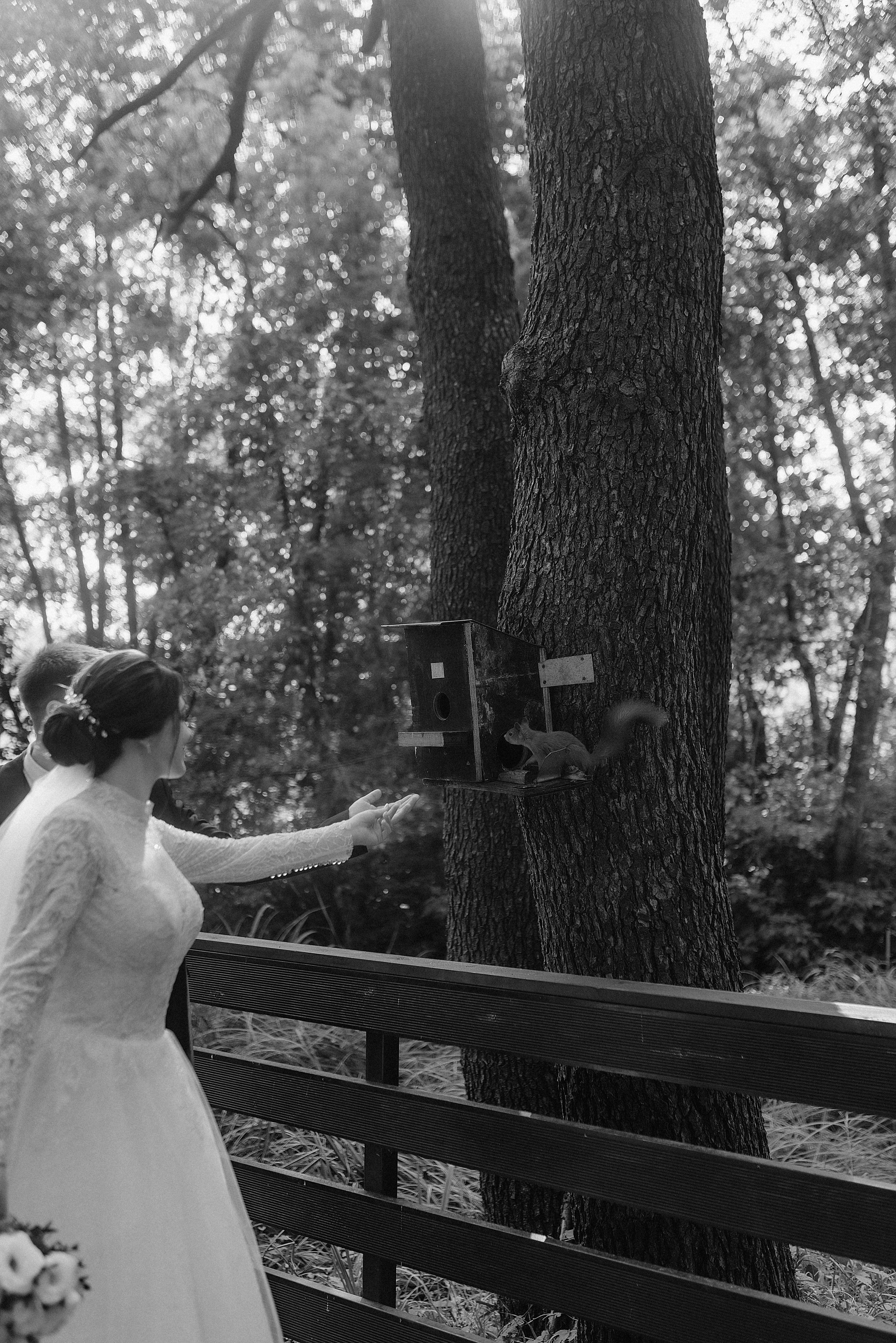 Анастасия и Сергей. Фотограф Карина Шмулёва. Воронеж и область