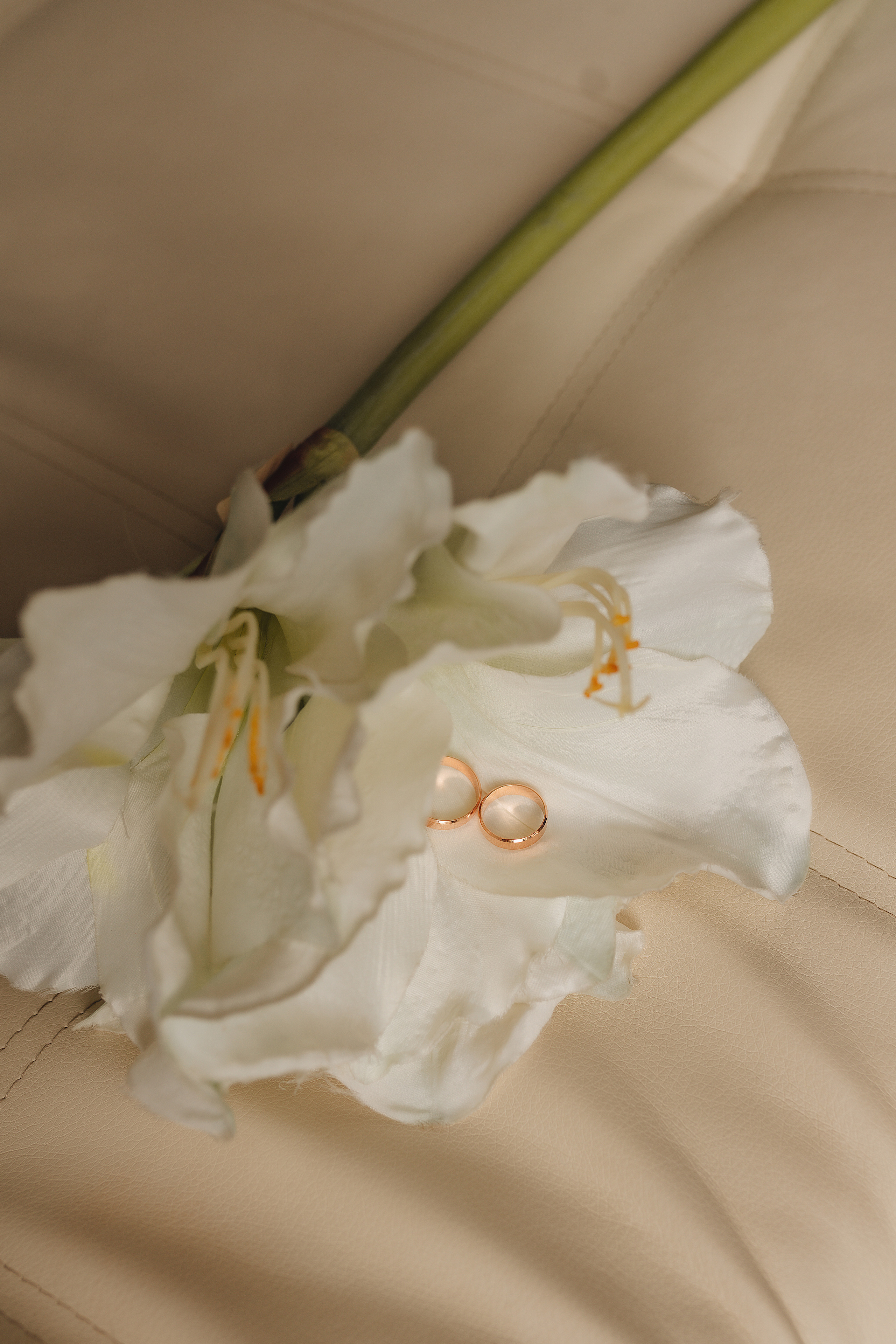 Диана и Максим. Фотограф Карина Шмулёва. Воронеж и область