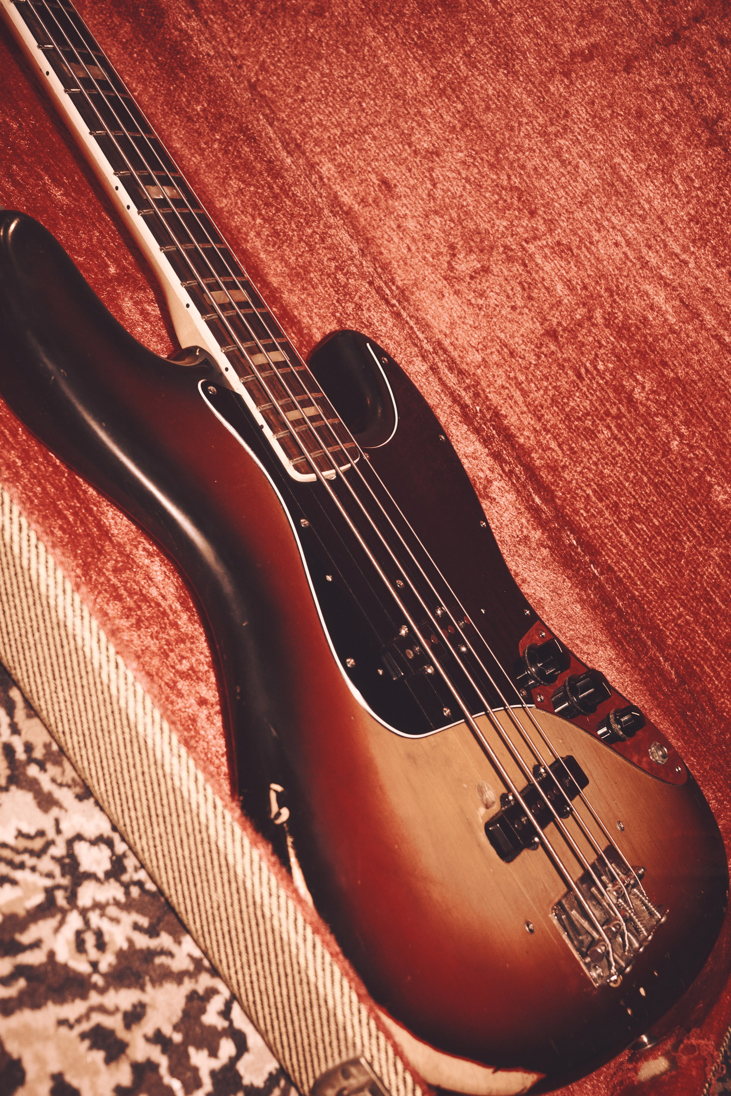 Голова Муэссы/Параметрика — Запись Ретроградного Меркурия. Фотография для артистов