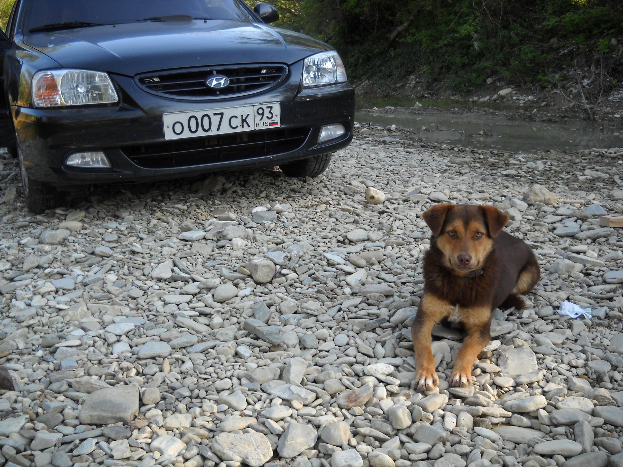 Старые фото. Виталий Юрченко