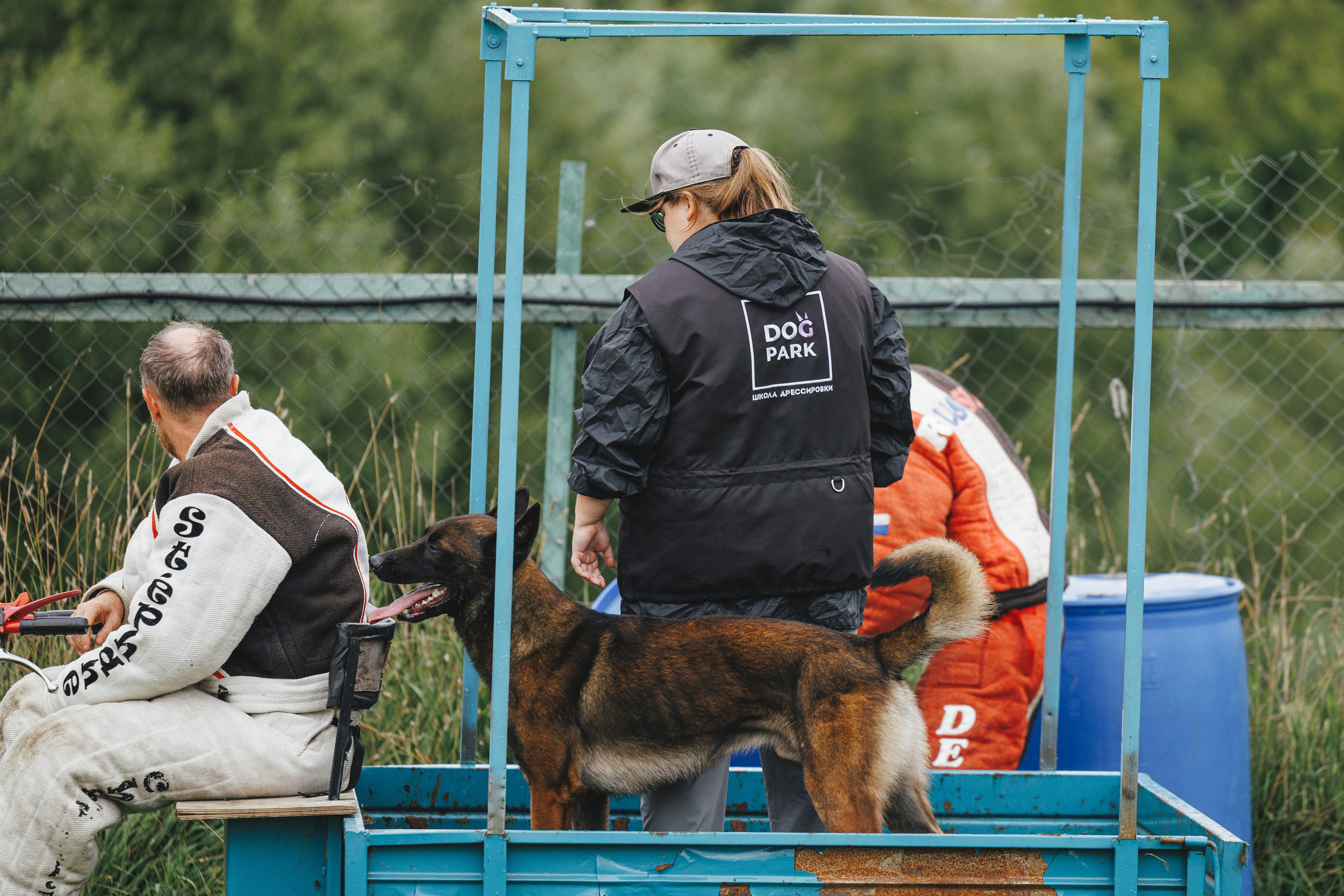 08.08.25-10.08.25 ЧР по мондьорингу г. Вологда. Фотограф-анималист Анна Маринич