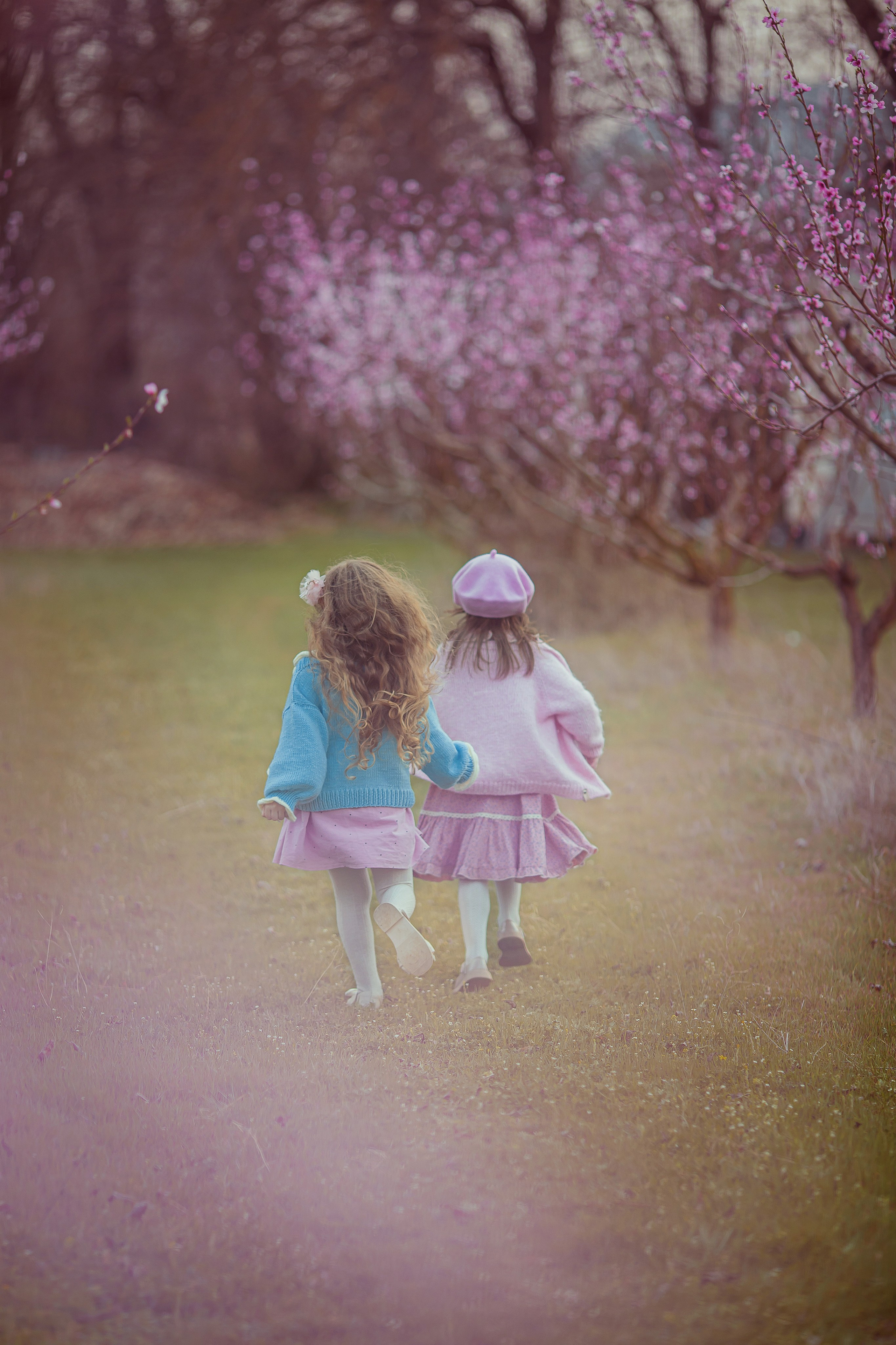 Цветущие персики 2025 г. Семейный и детский фотограф в Крыму Екатерина Швец