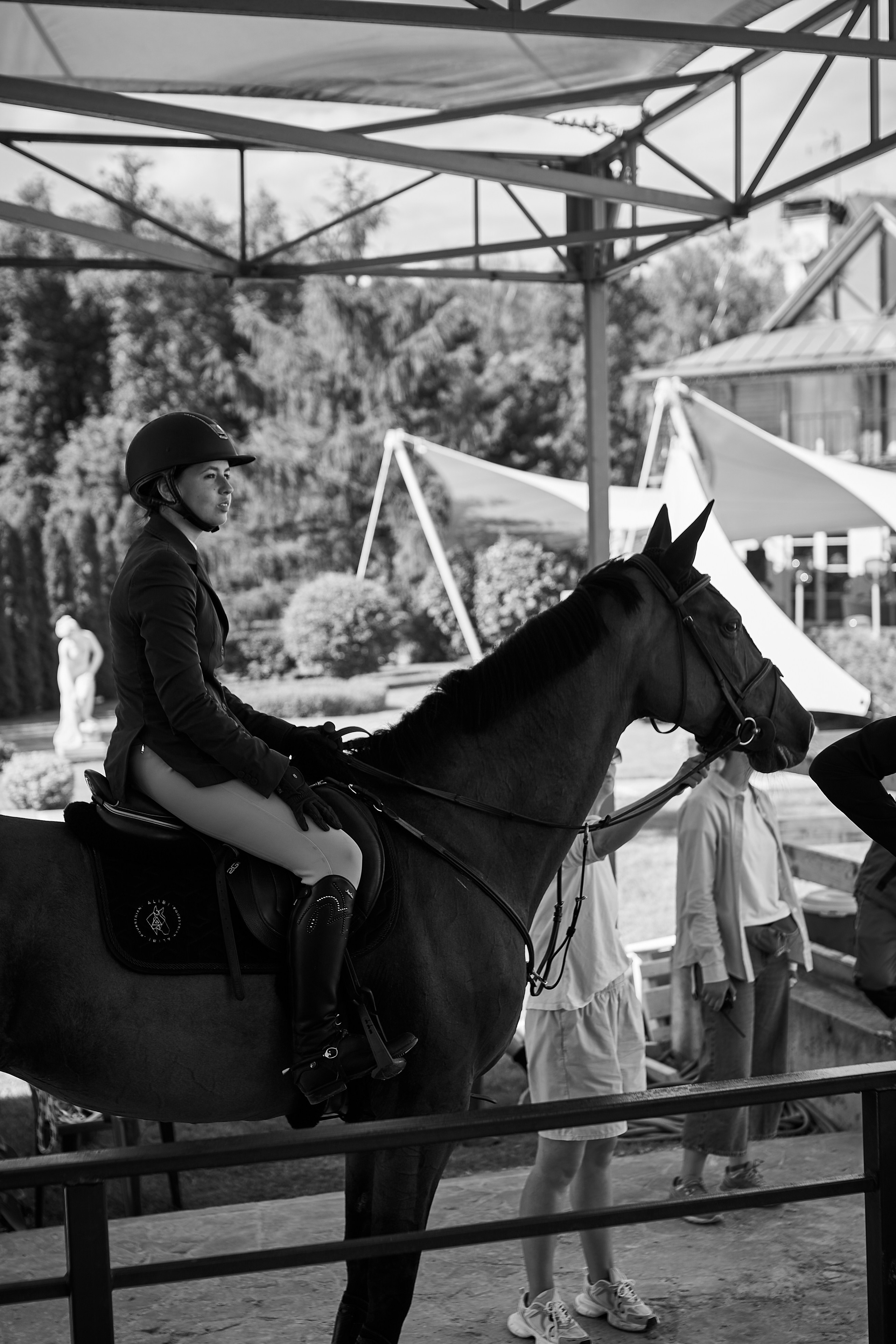 Алиса и Кон Челла В. Фотосессии с лошадьми в Москве, Новосибирске