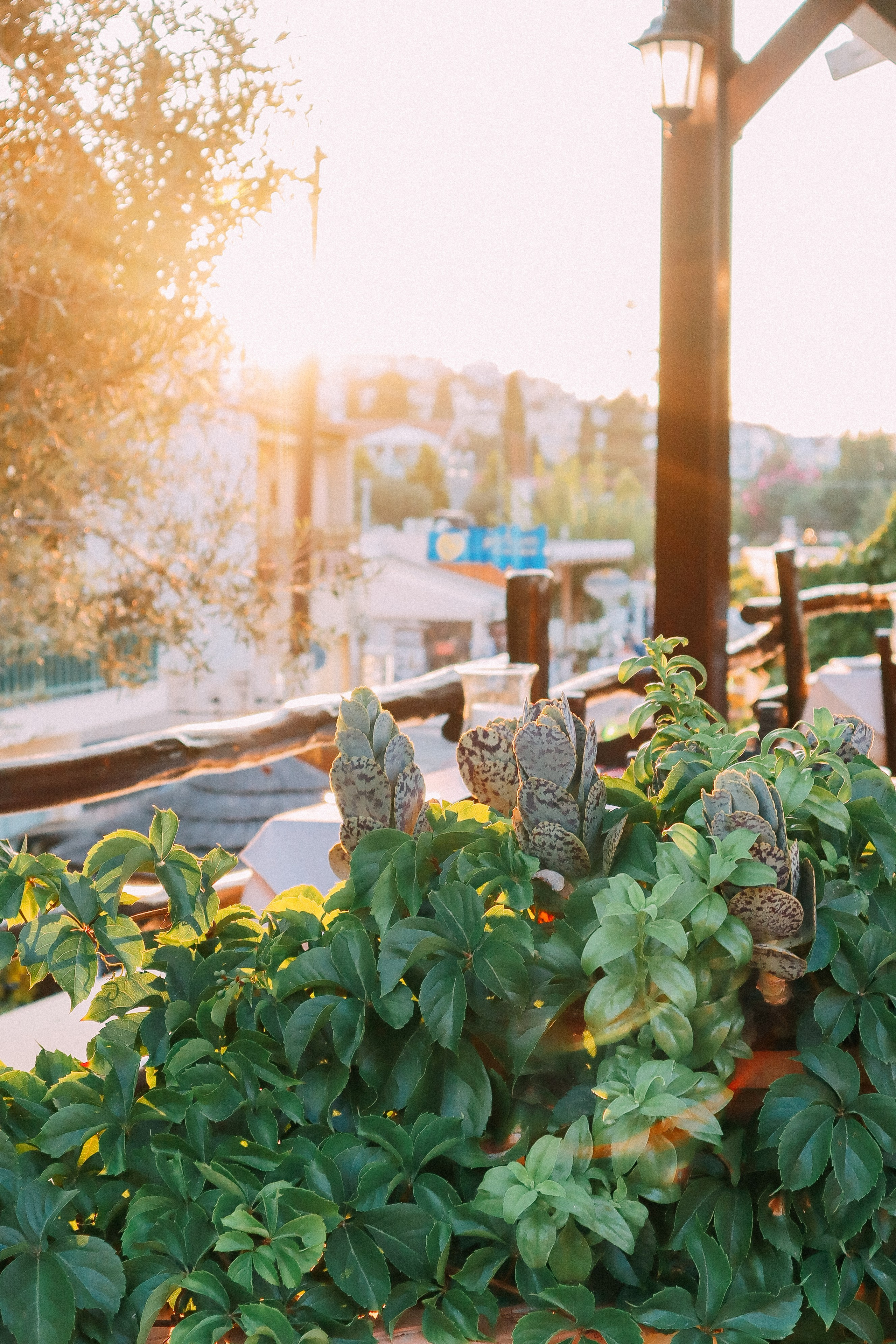 Крит. Аня Степанова