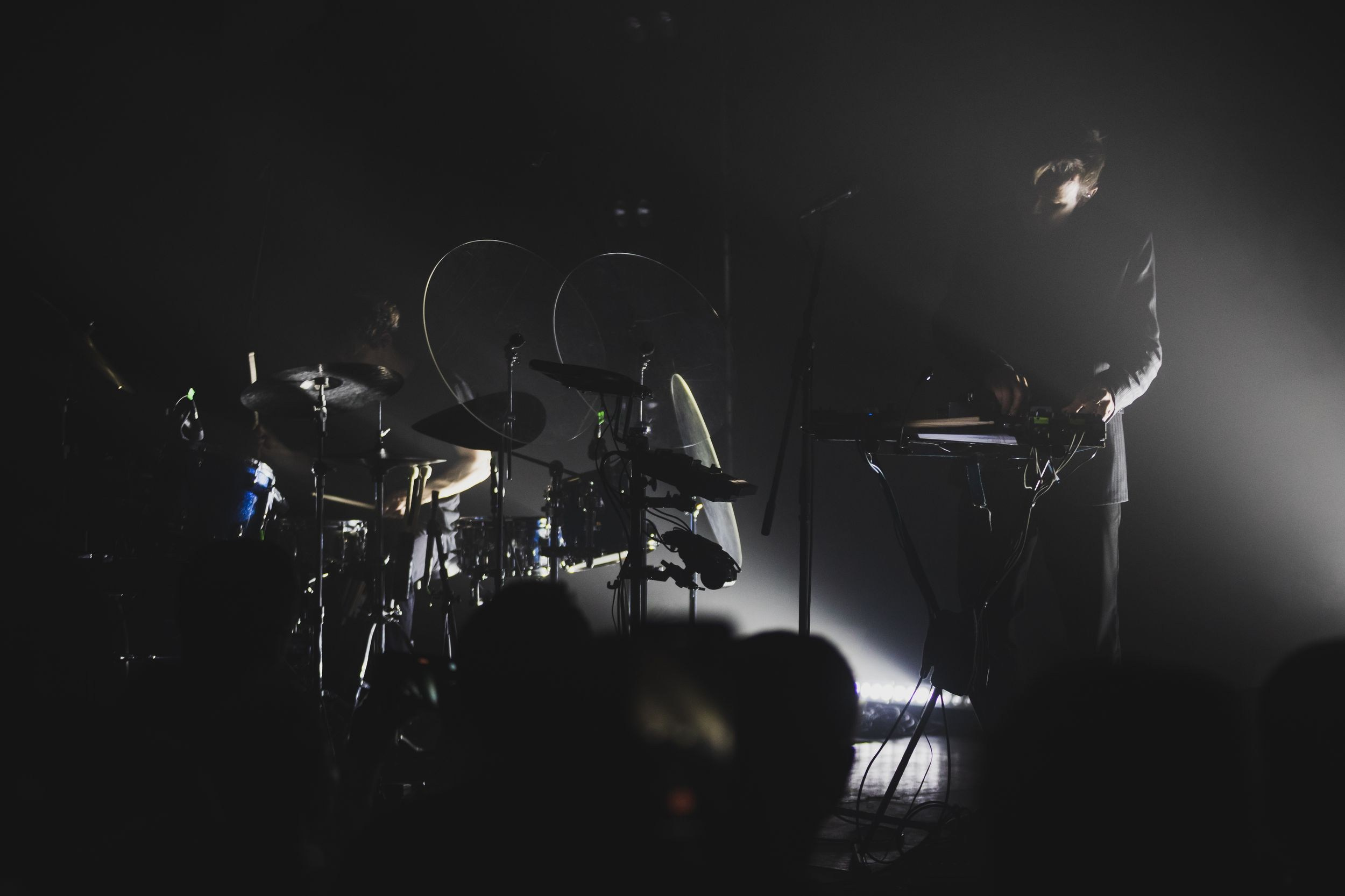 Дельфин. Репортажный фотограф Алексей Пирязев