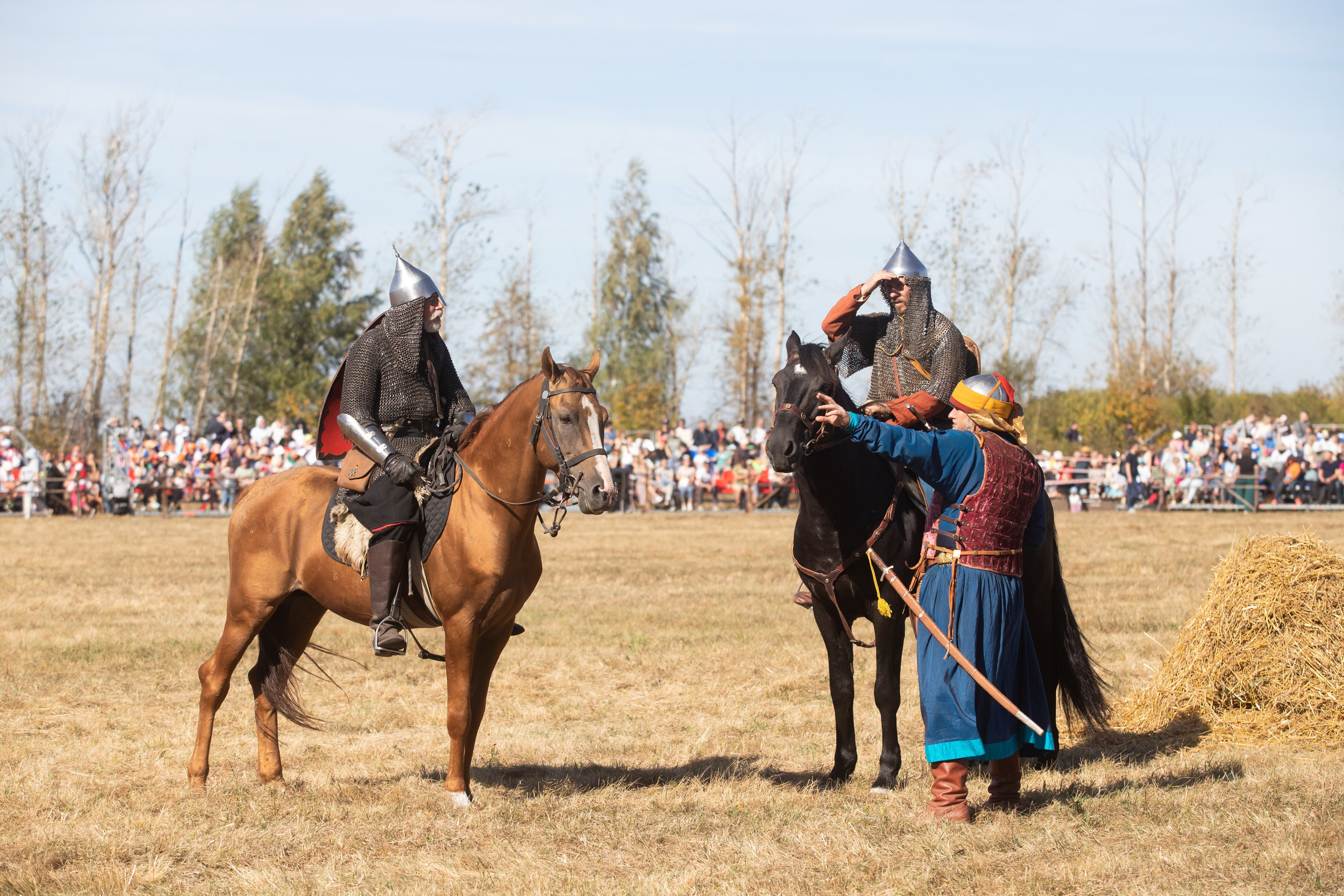 644-я годовщина Куликовской битвы (21 сентября 2024). Репортажный фотограф Алексей Пирязев