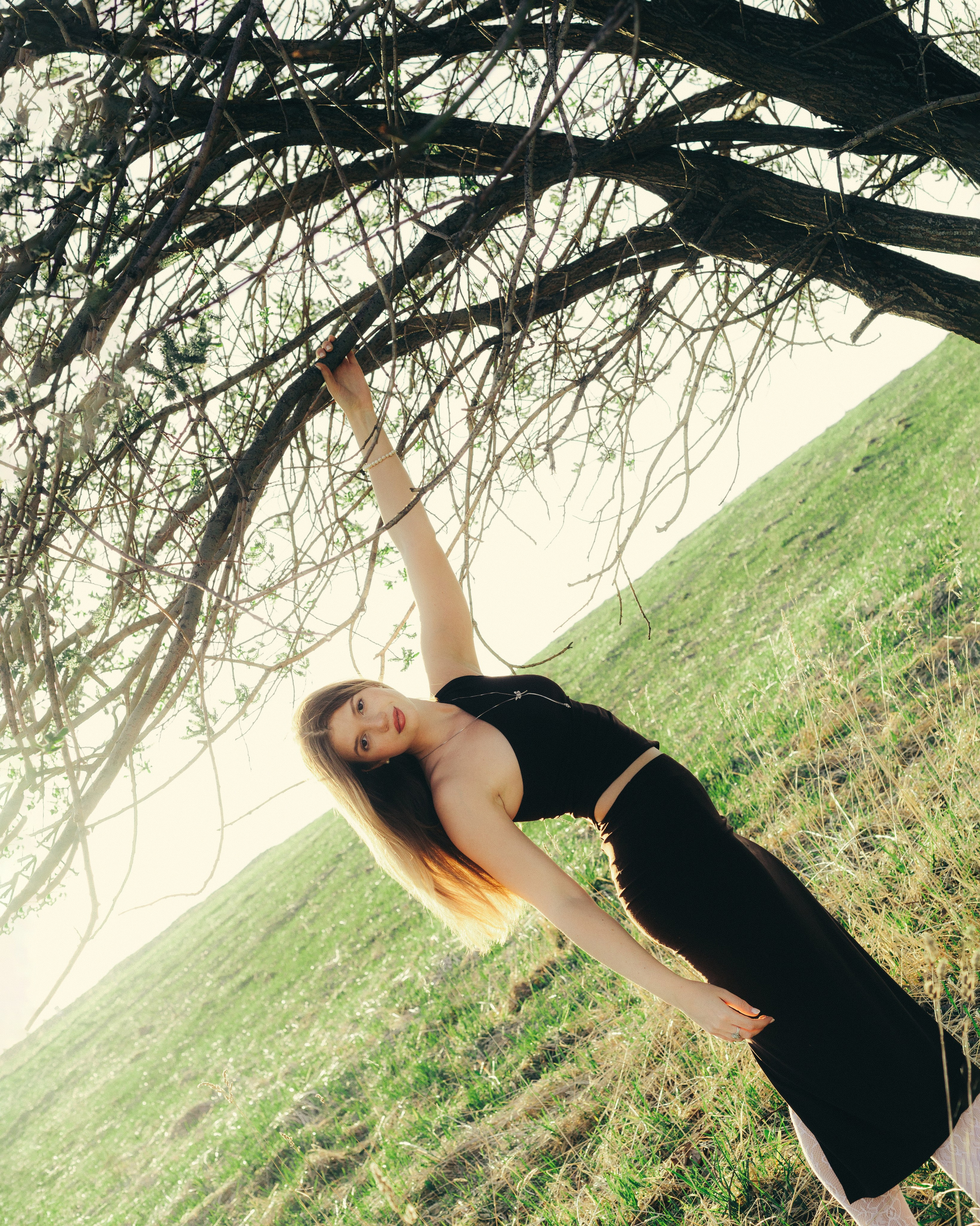 Garden. Sun Betty — кинофотограф Элизабет