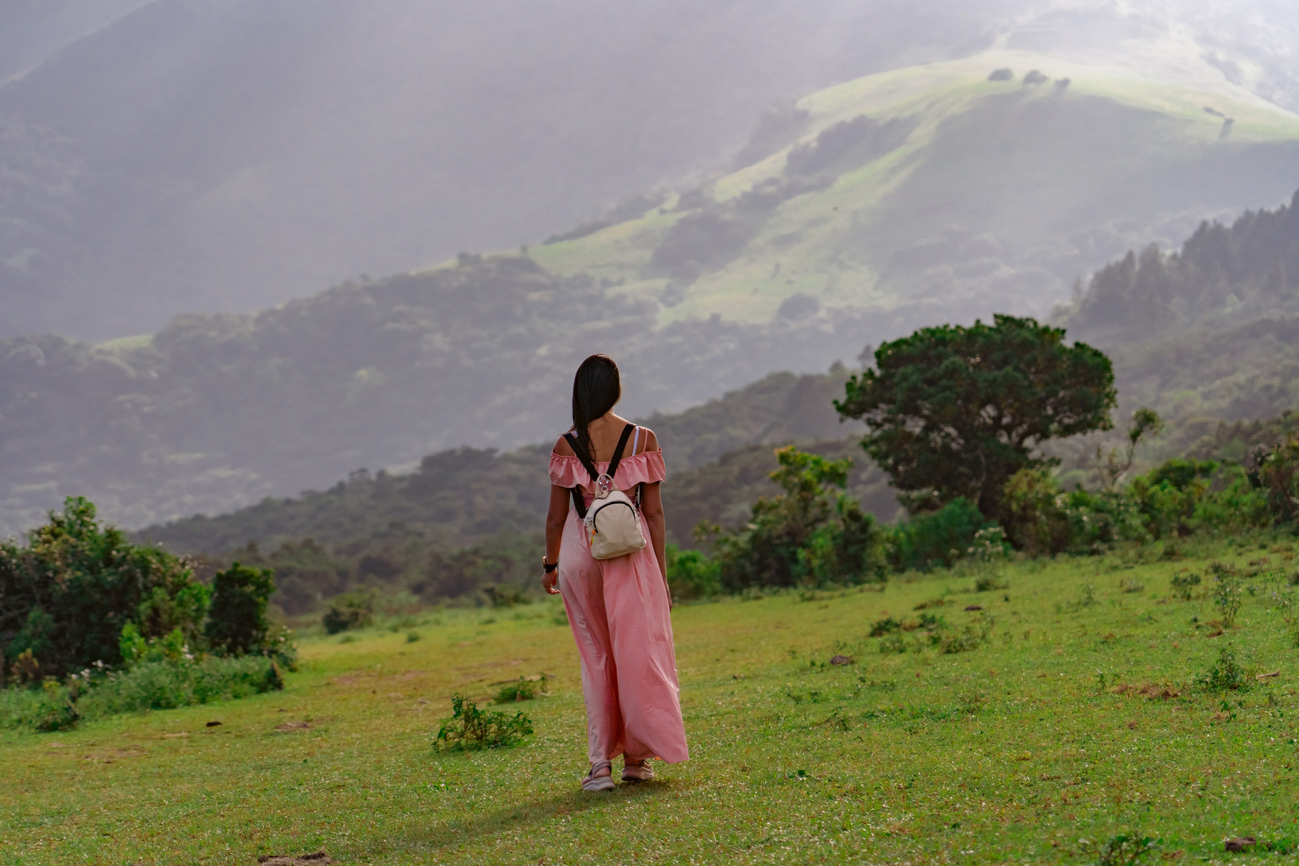 Promo content shooting for Ceylon Forward Tours