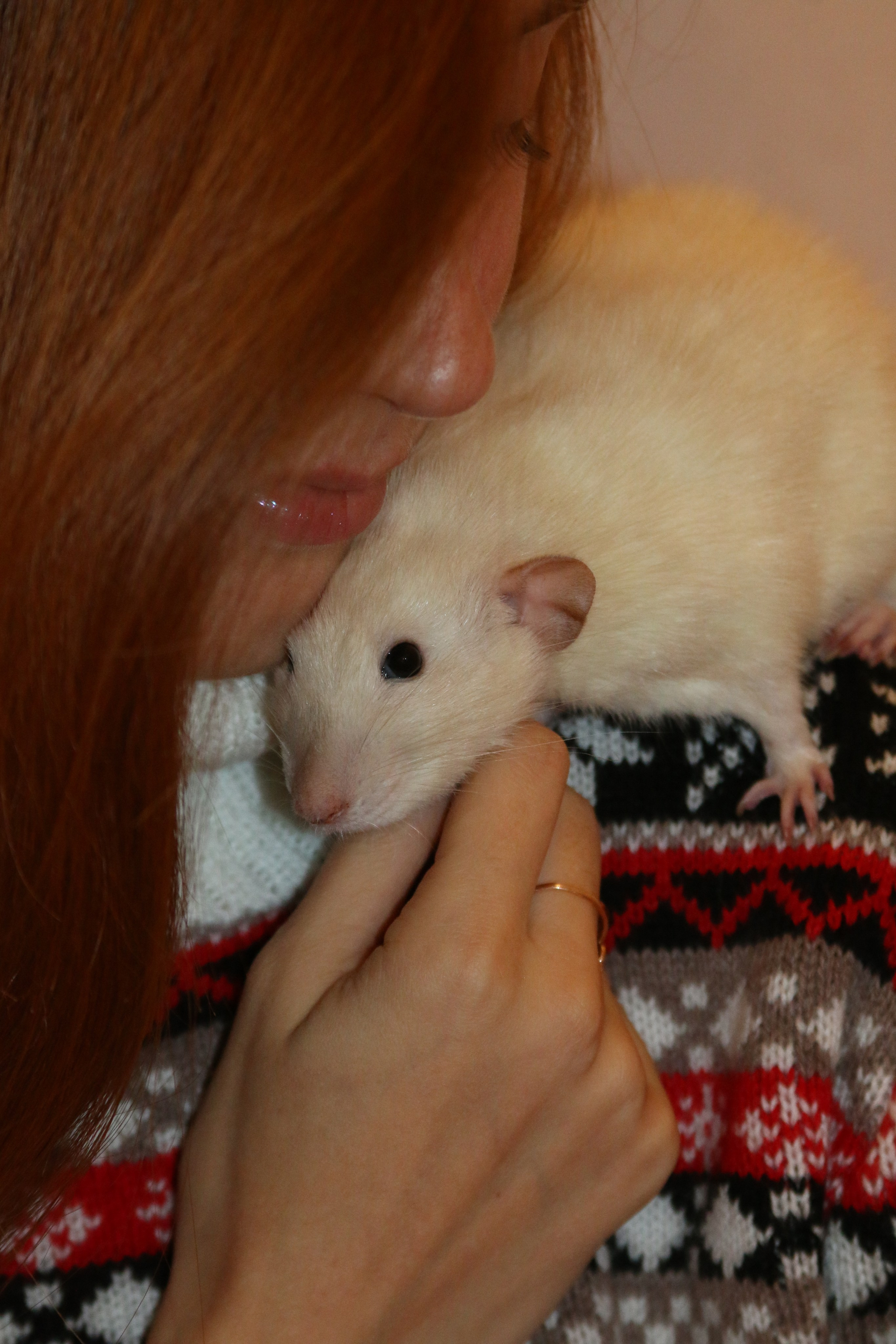 Съемка с питомцем