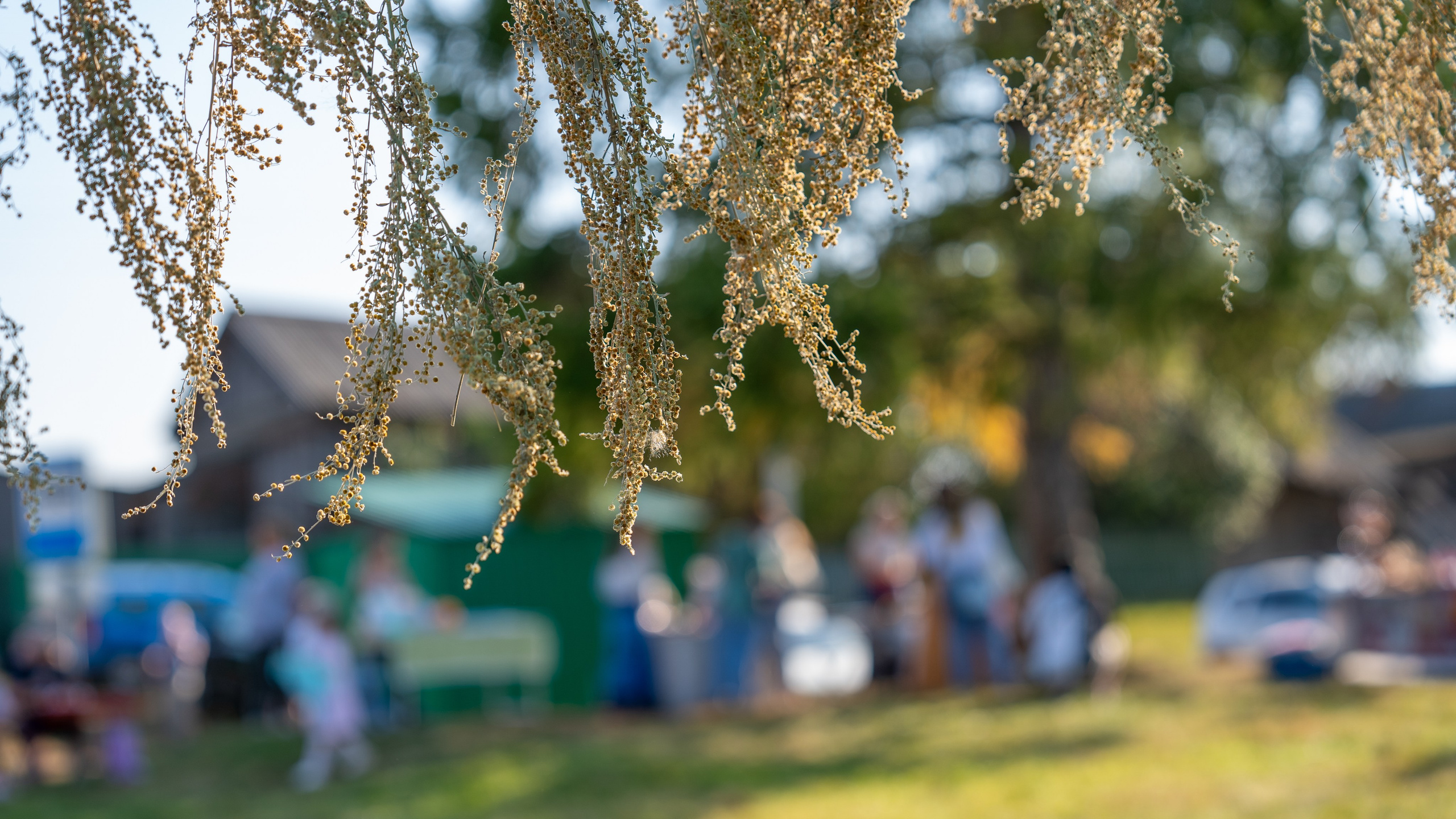 Ярмарка. Фотограф Наталья Сорока Ижевск