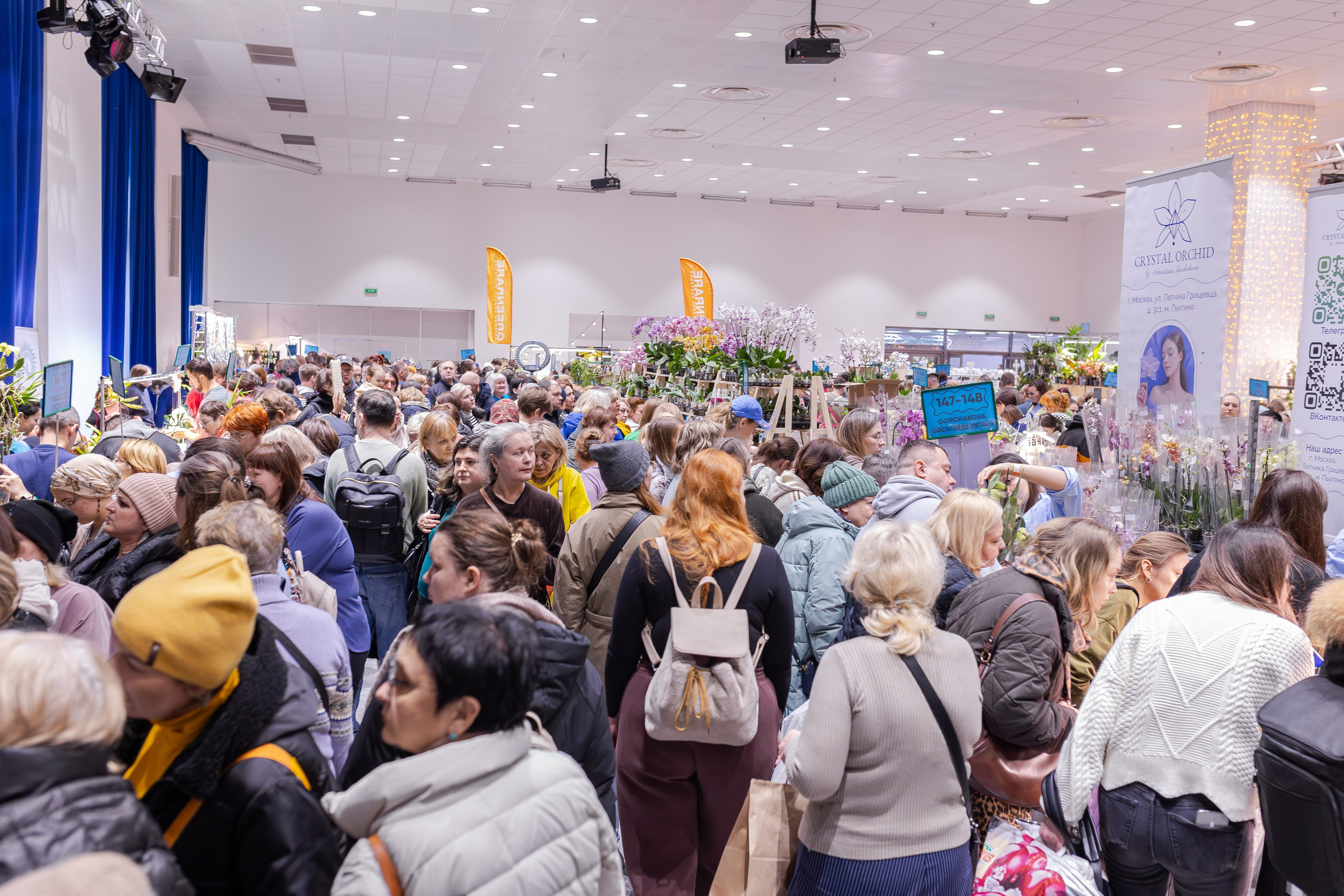 Орхидиум 12.2025. Александра Куликова фотограф, Москва