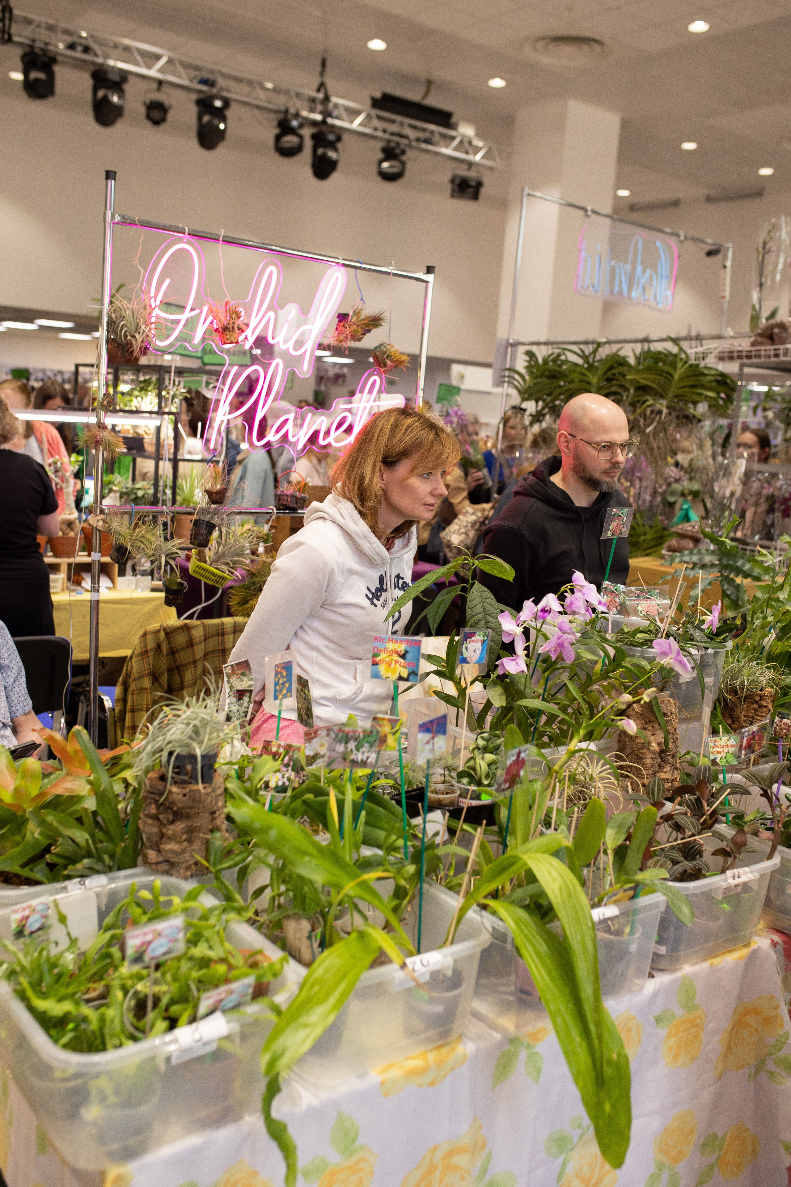 Орхидиум июнь 2024. Александра Куликова фотограф, Москва