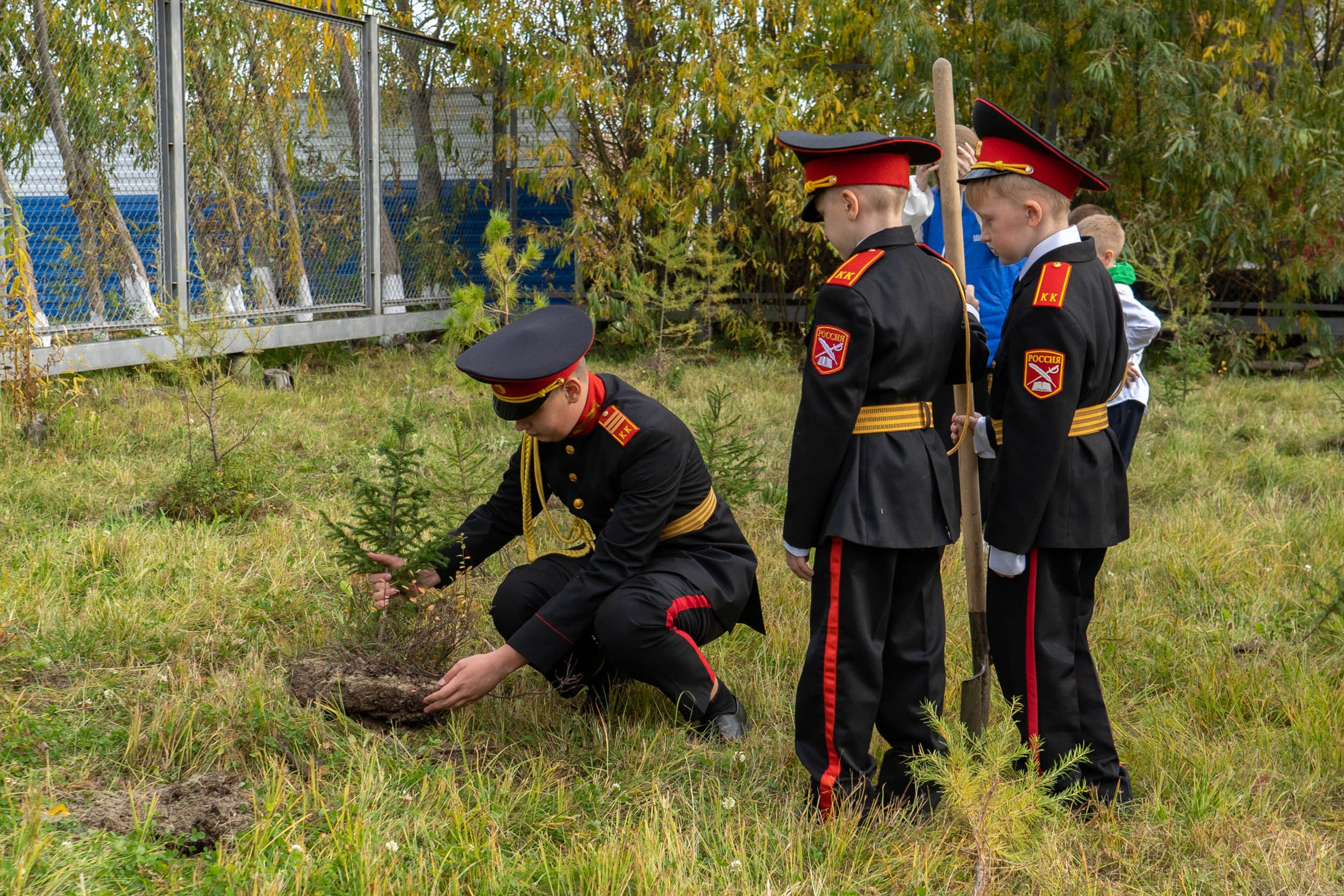 Высадка деревьев у школы. Фотограф Екатерина Зорина