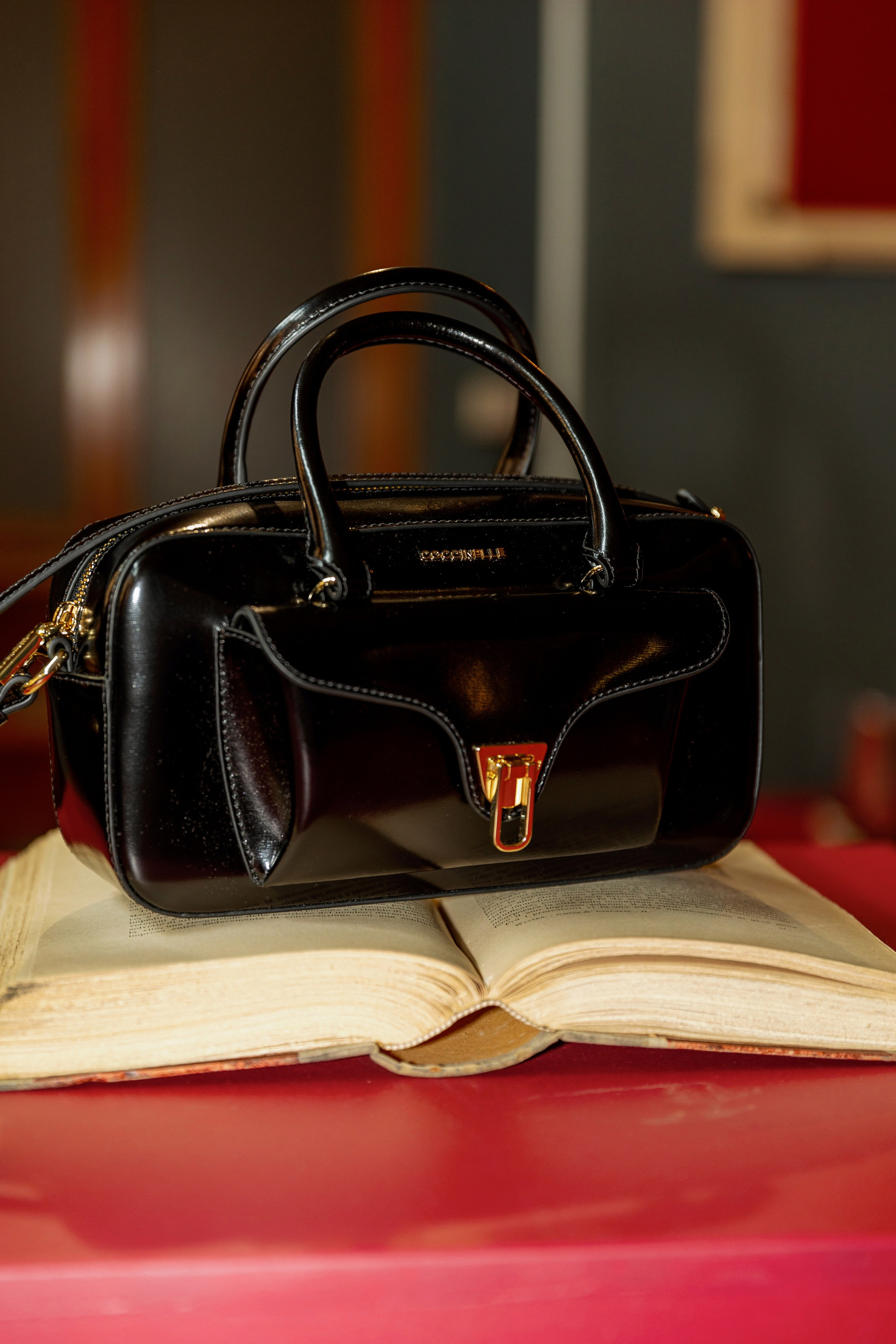 COCCINELLE. Photographer in Milan Ivan Goncharov