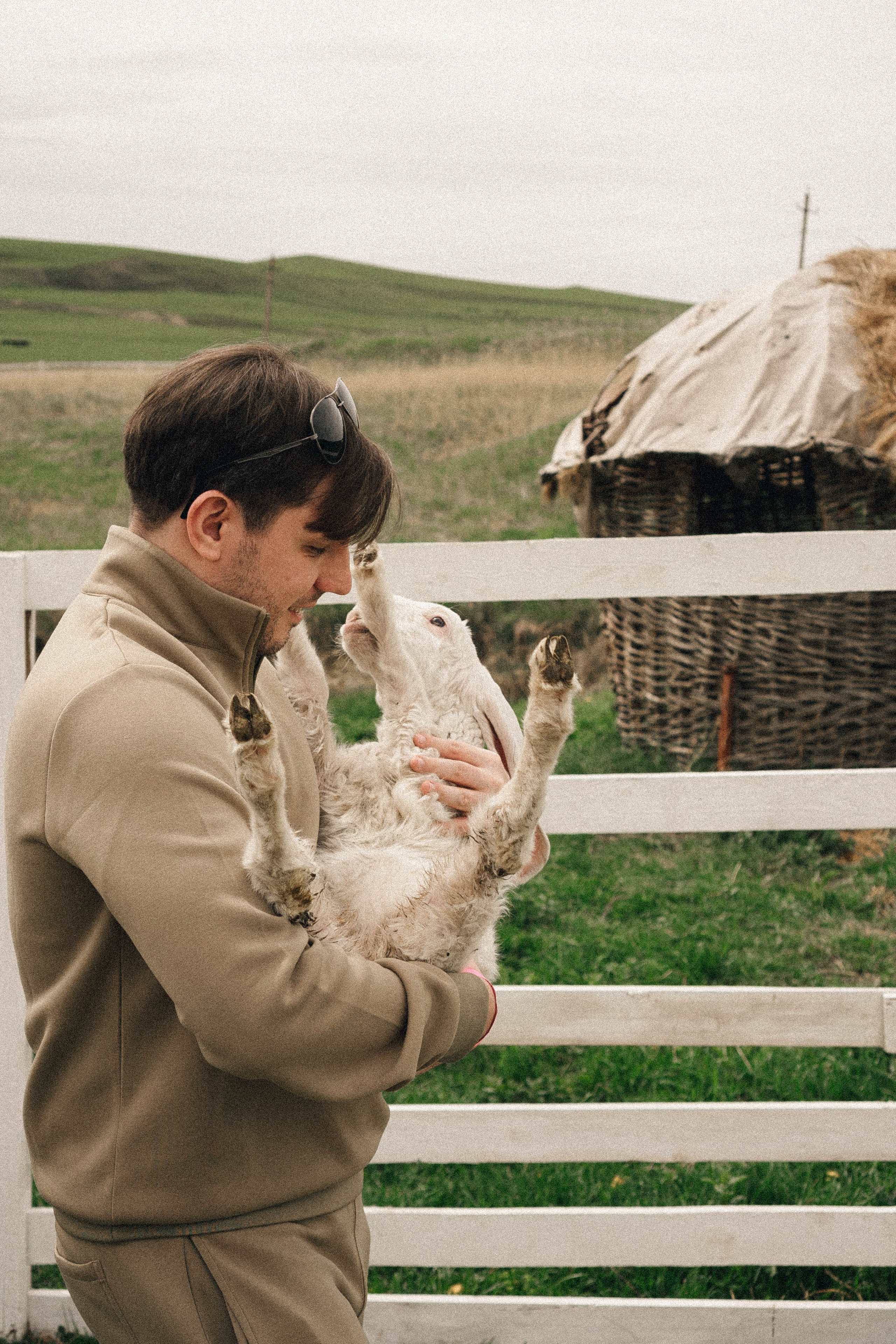 Ферма Альпак. Профессиональный фотограф, Санкт-Петербург — Виктория Богомолова