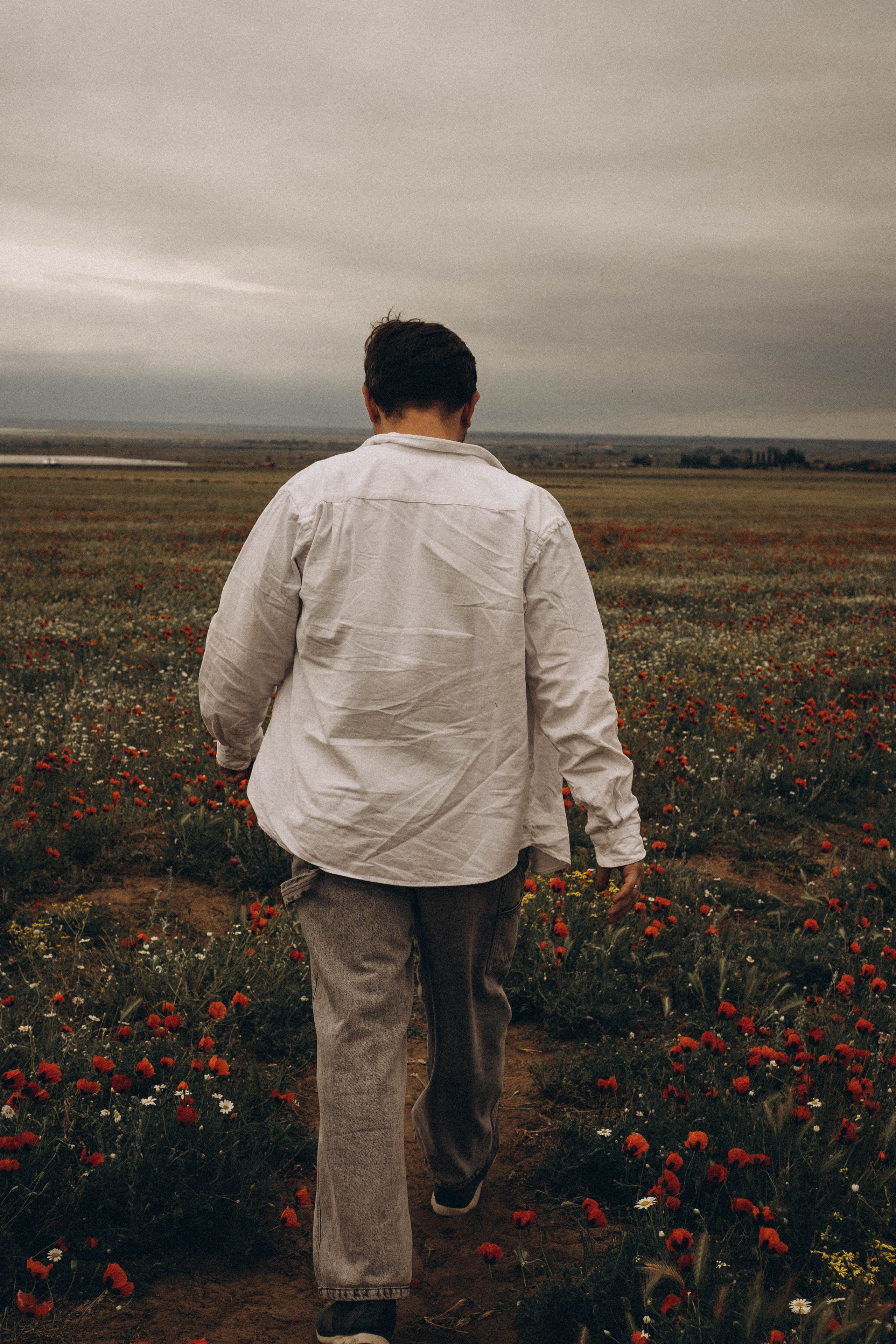 Маки. Профессиональный фотограф, Санкт-Петербург — Виктория Богомолова