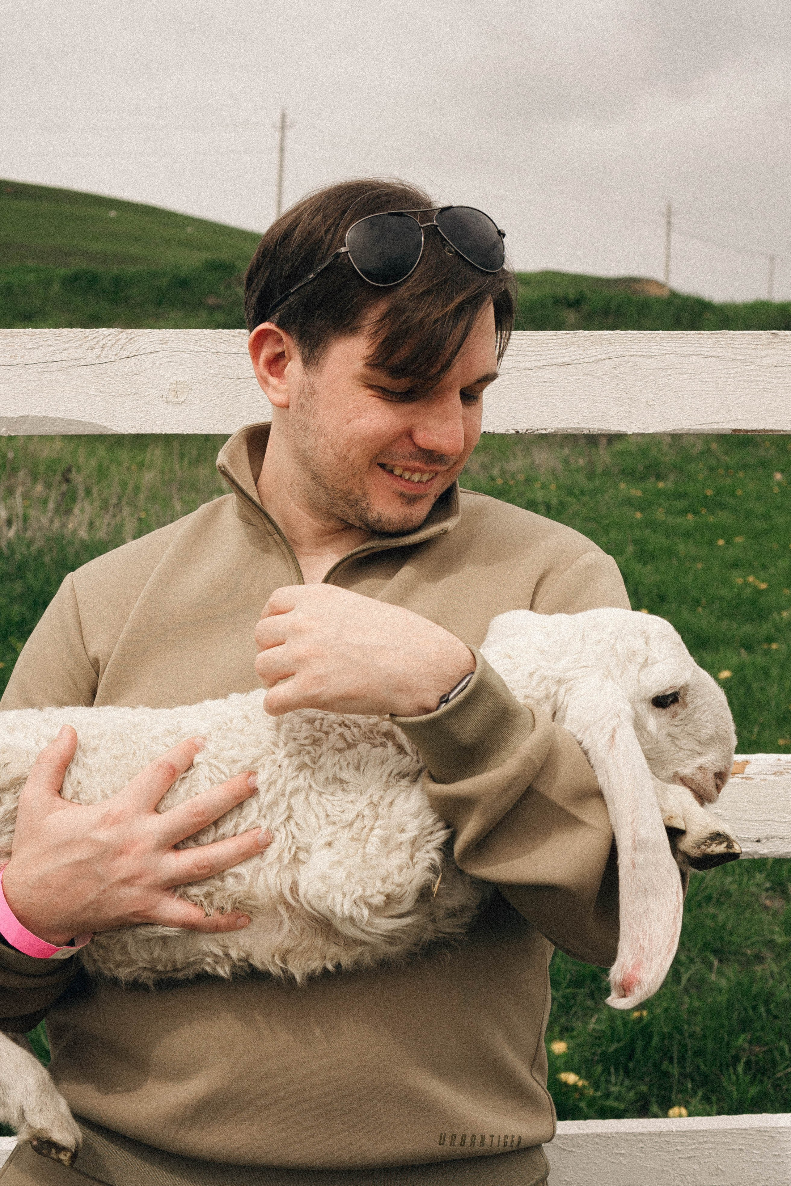 Ферма Альпак. Профессиональный фотограф, Санкт-Петербург — Виктория Богомолова